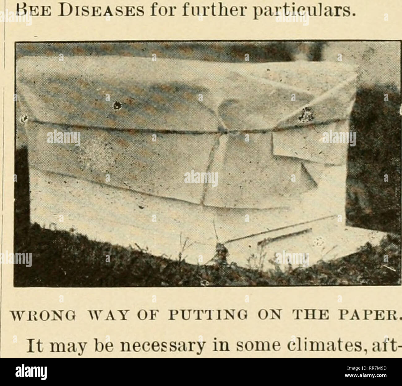 . Die ABC und XYZ der Biene Kultur; eine cyclopedia von alles in Bezug auf die Pflege der Honig-Biene, Bienen, Nesselsucht, Honig, Arbeitsgeräte, Honig - Pflanzen, usw. ... Bienen. Mit der RECHTEN ART, DIE AUF DEM PAPIER. In solchen Zeiten notwendigen künstlichen Pollen zu geben. Kabeltrassen sollten in sonnigen Plätze eingerichtet werden, unter dem Deckmantel, wenn möglich, mit ein paar Quarts Roggen oder Erbsen Mehl. Es sei denn, können Bienen haben natürliche oder künstliche pollen Brut - Aufzucht beginnt, sollten Sie in der Lage,-Brut wird tot gefunden werden. Auf diese Anfänger ist apt zu schließen, er ist eine Form der bienenkrankheit - möglicherweise foul Brut. Wenn die Brut stirbt Sh Stockfoto