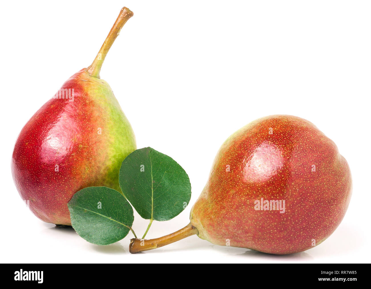 Zwei rote Birnen mit Blatt auf weißem Hintergrund Stockfoto