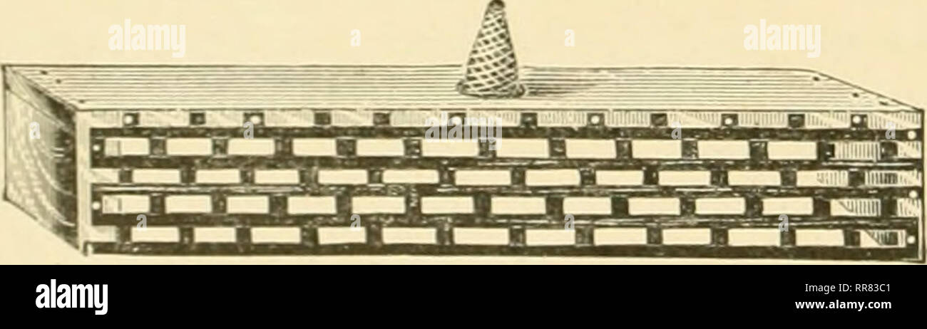 . Die ABC und XYZ der Biene Kultur; eine cyclopedia von alles in Bezug auf die Pflege der Honig-Biene, Bienen, Nesselsucht, Honig, Arbeitsgeräte, Honig - Pflanzen, usw. ... Bienen. - ZiNl EXTKAXCE-tU Alii). Tliis ist einfach ein Streifen aus perforiertem Metall,.'^5 x 14 Zoll lang, im rechten Winkel gefalzt, wie in der Abbildung gezeigt. Jedes Ende ist dann mit einem Block l | xl | xi geschlossen, mit einem Paar der doppelten spitzen Klammern befestigt. Setzen, dicht vor dem Eingang wie Rep-Übel in den Schnitt. Wenn es wünschenswert ist, die Drohnen alle aus einem Hive ohne Genehmigung einer wieder zurück zu bekommen, legen wir die Wache über die en-trance Stockfoto