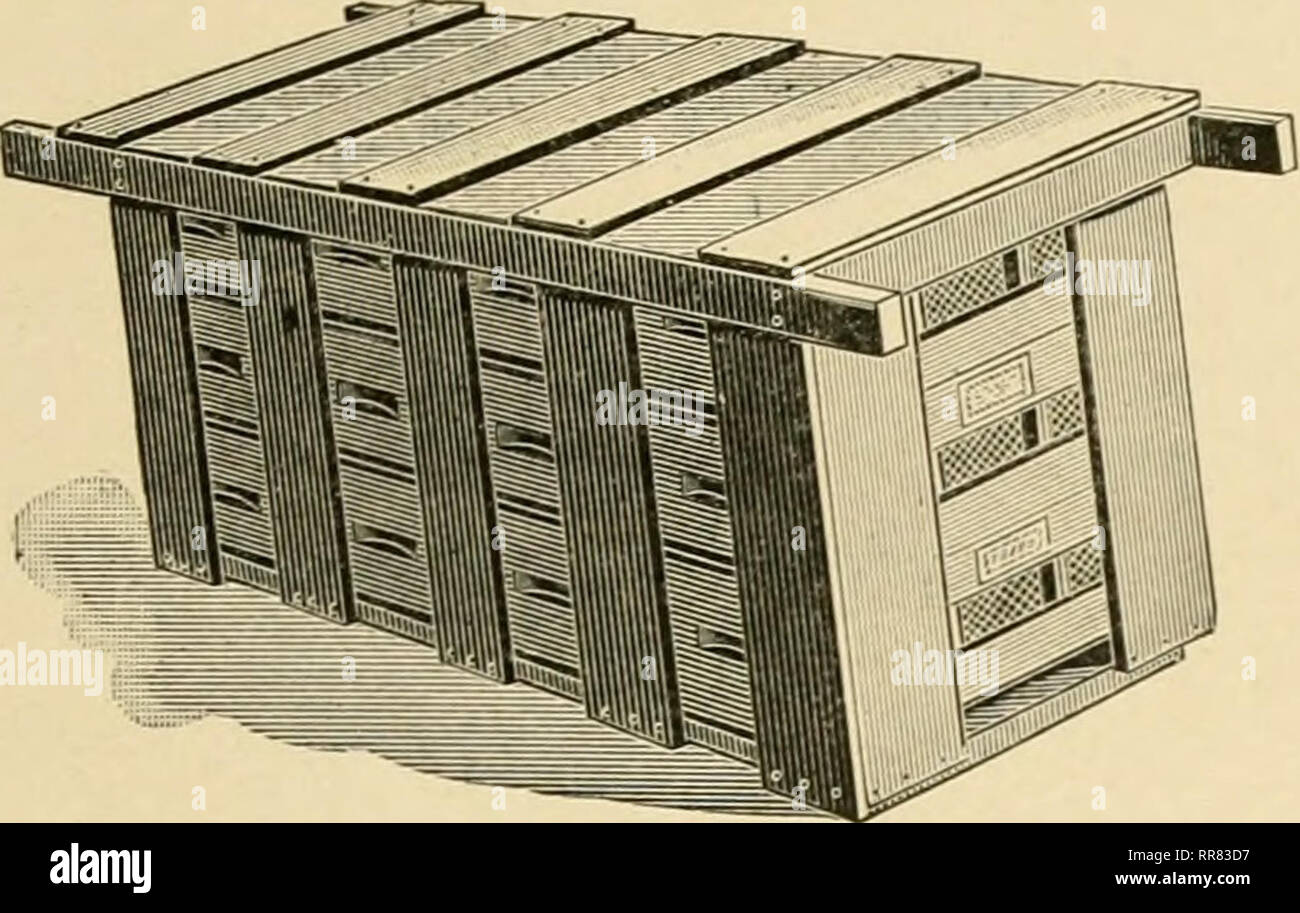 . Die ABC und XYZ der Biene Kultur; eine cyclopedia von alles in Bezug auf die Pflege der Honig-Biene, Bienen, Nesselsucht, Honig, Arbeitsgeräte, Honig - Pflanzen, usw. ... Bienen. Wabenhonig ll 29 WABENHONIG. Siehe tlie Bienen. Manchmal ist der Gast wird so groß sein, da die Straße zu blockieren, um die Königin zu sehen'' oder ''König Rindfleisch, aber Sie werden die Gewinner sein, weil Ihre Honig drin ist.. Kamm - HONIG CARRIEH. Es sollten an Hand für ein oder zwei Tage ein Experte über den Honig zu erläutern, wie er hergestellt wird, wie gut es ist, etc., und zu zeigen, dass es die gesunde Süße in der Welt für Kinder. Er sollte dann Lauf-force Stockfoto