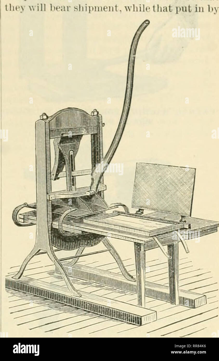 . Das A B C der Biene Kultur: ein cyclopedia von jede Sache, die in Bezug auf die Sorge für die Honigbienen. KASTEKDAY S STIFTUNG - Reißverschluss. Mädchen jetzt überlegen, es schneller und einfacher als jede andere Plan bisher versucht. Sie sehen, die Punkte Streik ein, also keine sehr großen Druck benötigt wird; und doch liy rockt die das Gerät sehr schnell erledigt ist. NDATION OIVEN FOI"-l'UESs. Diese Presse ist nur jetzt finden Berücksichtigung - ble begünstigen. Mit einem Paar stirbt nur die Größe von der Innenseite des Rahmens, glatte Blätter von wa.x sind in Gründung durch Einbettung der Adern in es in ein und derselben gemacht Stockfoto