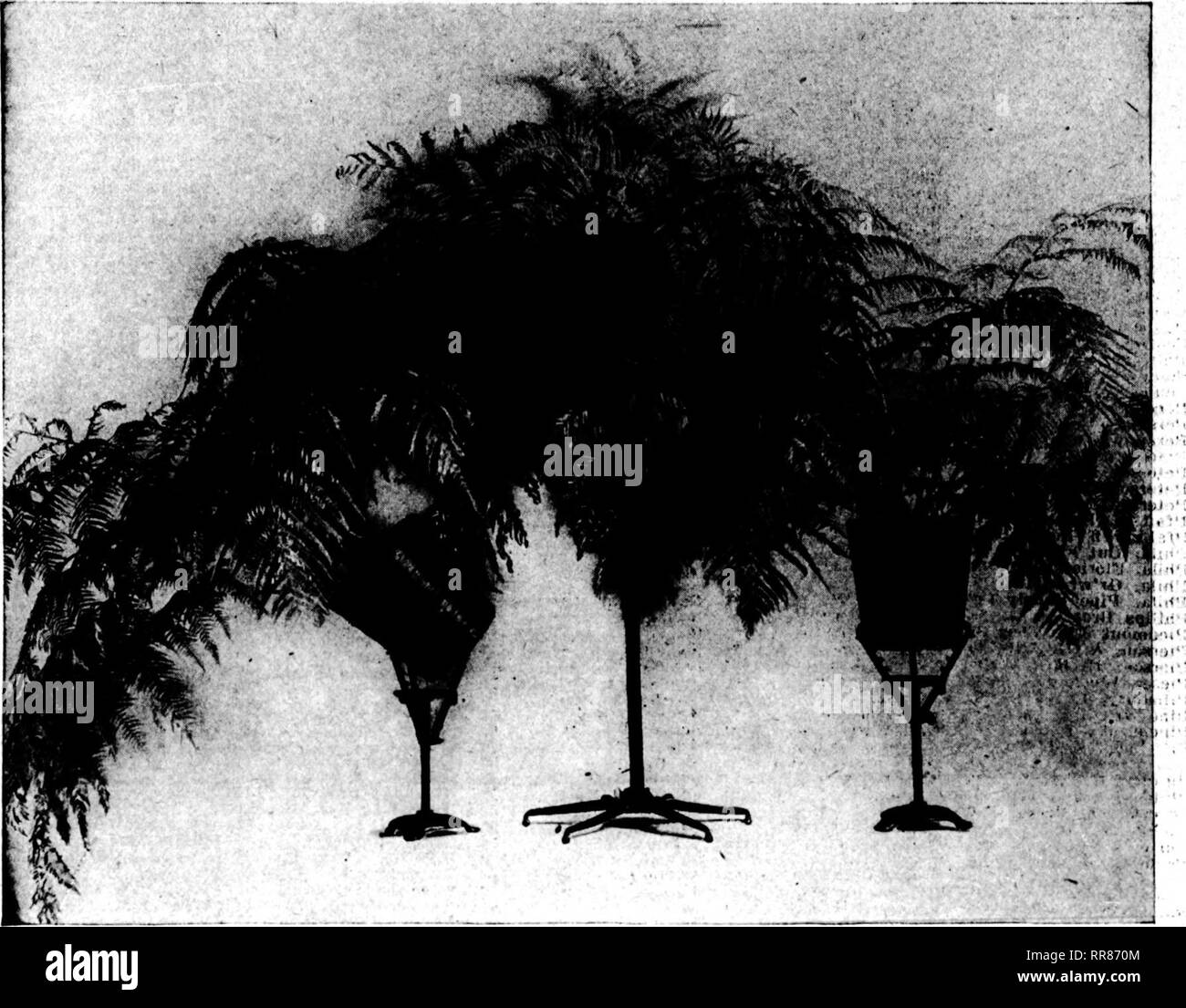 . Floristen Review [microform]. Blumenzucht. OcTOBEK 26, 1922 Die Floristen^ Review McCALLUM Anlage steht - überlegene Konstruktion; exklusive Vorteile. Beachten Sie, dass die Abbildung oben, die Junior Hand am rechten nnd Links und der Univerital stehen im Zentrum. Ob vertikale oder horizontale der Anlage ist fest gehalten und ohne Gefahr o) fallen durch die verstellbare, sicher - packende Stahl Finger. An der äußersten lejt der Stand s gezeigt. Die McCallum Universal Plant die praktischste, Anpassungsfähigsten stand seiner Art auf dem Markt stehen - ein weiterer deutlich exklusive McCallimi Schöpfung. Besonders s Stockfoto