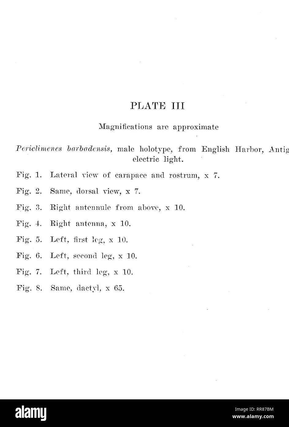 . Studium der Naturgeschichte. Natural History; Natural History. Platte III. Bitte beachten Sie, dass diese Bilder sind von der gescannten Seite Bilder, die digital für die Lesbarkeit verbessert haben mögen - Färbung und Aussehen dieser Abbildungen können nicht perfekt dem Original ähneln. extrahiert. Universität von Iowa; Staatliche Universität von Iowa; Herstellung von Amerika Projekt. Iowa City, IA Stockfoto