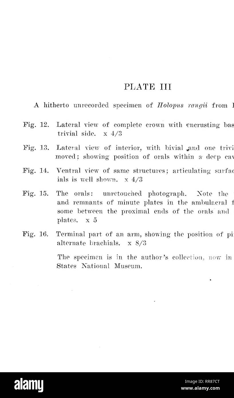 . Studium der Naturgeschichte. Natural History; Natural History. Platte III. 6 V Bitte beachten Sie, dass diese Bilder sind von der gescannten Seite Bilder, die digital für die Lesbarkeit verbessert haben mögen - Färbung und Aussehen dieser Abbildungen können nicht perfekt dem Original ähneln. extrahiert. Universität von Iowa; Staatliche Universität von Iowa; Herstellung von Amerika Projekt. Iowa City, IA Stockfoto