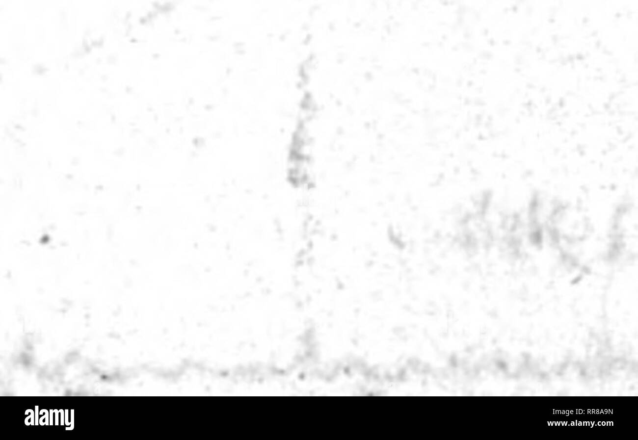 . Outlook Illinois Landwirte Brief [microform]. Landwirtschaft - - Illinois; Landwirtschaft - - Wirtschaftliche Aspekte von Illinois. ;:. Ich. V - 1 •? •? ?." J: fiA", '.'? '^i?m-". iZ^. Bitte beachten Sie, dass diese Bilder sind von der gescannten Seite Bilder, die digital für die Lesbarkeit verbessert haben mögen - Färbung und Aussehen dieser Abbildungen können nicht perfekt dem Original ähneln. extrahiert. Universität von Illinois in Urbana-Champaign. Cooperative Extension Service in der Landwirtschaft und Hauswirtschaft; Universität von Illinois (Urbana-Champaign Campus). Abt. für Agrarökonomie, Universität Stockfoto