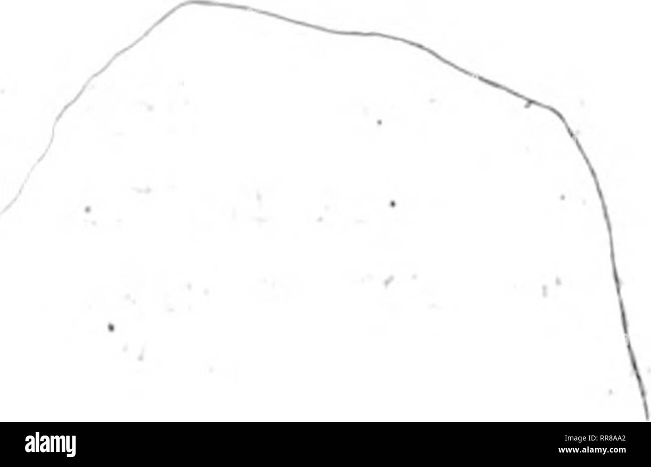 . Outlook Illinois Landwirte Brief [microform]. Landwirtschaft - - Illinois; Landwirtschaft - - Wirtschaftliche Aspekte von Illinois. - 7 • e. 1. /;" •. Ich? &Gt; t A m. Bitte beachten Sie, dass diese Bilder sind von der gescannten Seite Bilder, die digital für die Lesbarkeit verbessert haben mögen - Färbung und Aussehen dieser Abbildungen können nicht perfekt dem Original ähneln. extrahiert. Universität von Illinois in Urbana-Champaign. Cooperative Extension Service in der Landwirtschaft und Hauswirtschaft; Universität von Illinois (Urbana-Champaign Campus). Abt. für Agrarökonomie, Universität von Illinois (Urbana-C Stockfoto