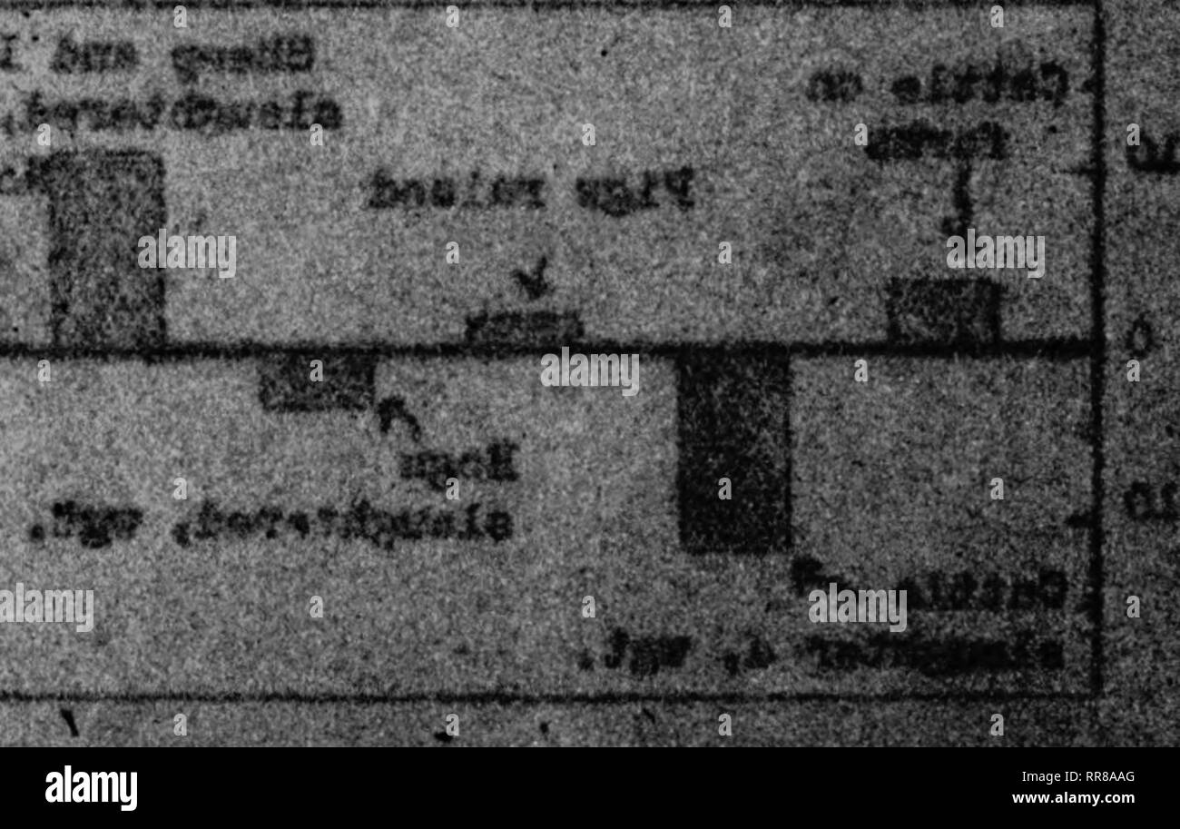 . Outlook Illinois Landwirte Brief [microform]. Landwirtschaft - - Illinois; Landwirtschaft - - Wirtschaftliche Aspekte Illinois. itMk^-X-am-^t^ iiwnwn *Mi * '''w' * 'w ^-^" •^^ •". ' € iitt itttti iiitfi ttttii ^^^^^^^^^^^^^^ tfiiiim M^. Bitte beachten Sie, dass diese Bilder sind von der gescannten Seite Bilder, die digital für die Lesbarkeit verbessert haben mögen - Färbung und Aussehen dieser Abbildungen können nicht perfekt dem Original ähneln. extrahiert. Universität von Illinois in Urbana-Champaign. Cooperative Extension Service in der Landwirtschaft und Hauswirtschaft; Universität von Illinois (Urbana-Champaign Campus). Abt. Stockfoto