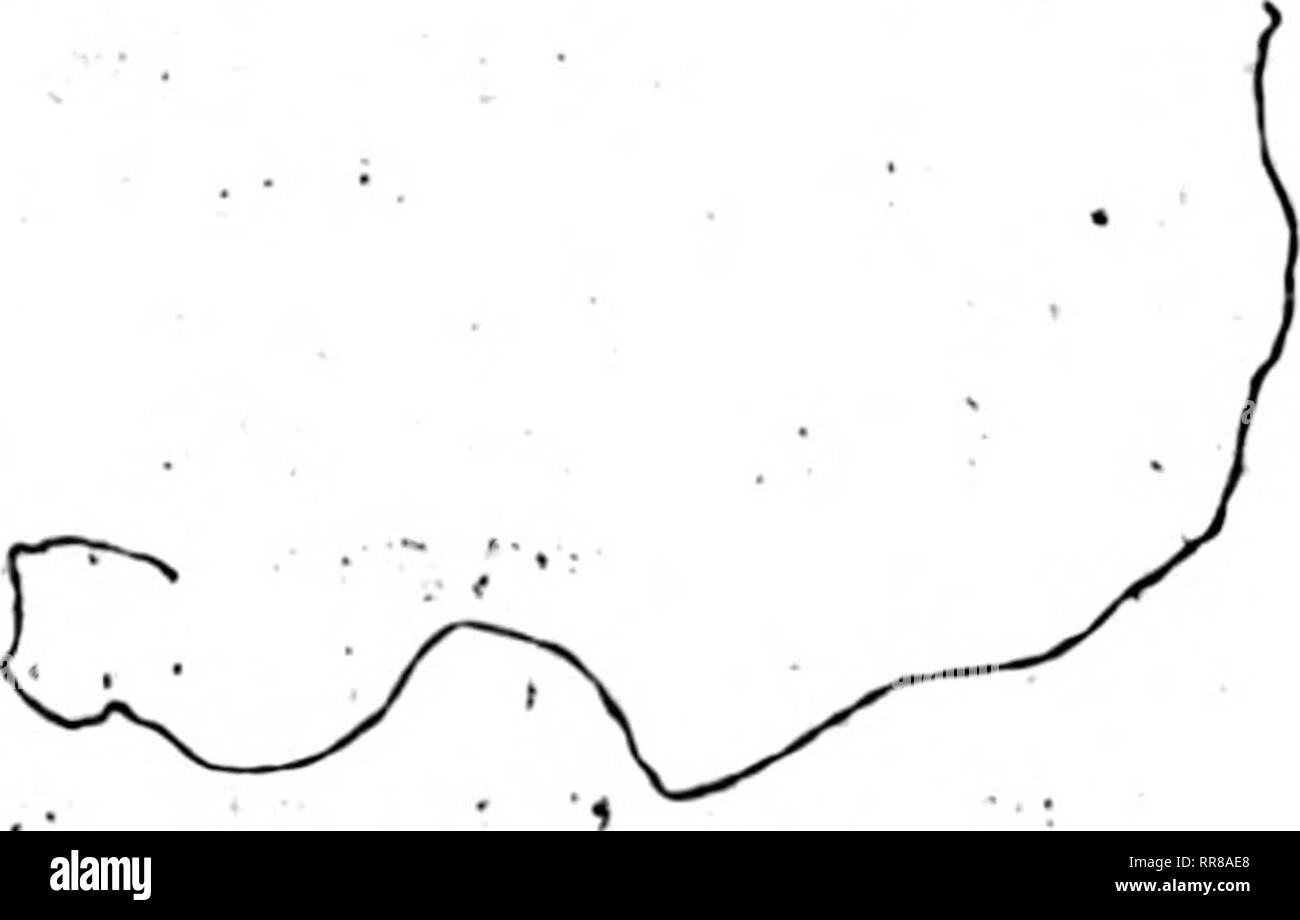 . Outlook Illinois Landwirte Brief [microform]. Landwirtschaft - - Illinois; Landwirtschaft - - Wirtschaftliche Aspekte von Illinois. 71: 0V • r t o? • •: F:&gt;? • Ich.-------&gt;': V: - -: "^. .. ^. Bitte beachten Sie, dass diese Bilder sind von der gescannten Seite Bilder, die digital für die Lesbarkeit verbessert haben mögen - Färbung und Aussehen dieser Abbildungen können nicht perfekt dem Original ähneln. extrahiert. Universität von Illinois in Urbana-Champaign. Cooperative Extension Service in der Landwirtschaft und Hauswirtschaft; Universität von Illinois (Urbana-Champaign Campus). Abt. für Agrarökonomie, Universität Stockfoto