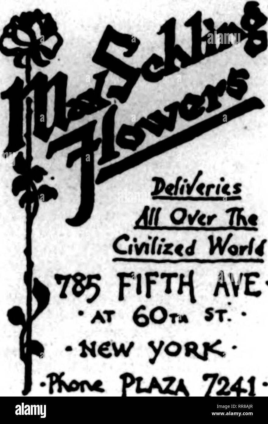 . Floristen Review [microform]. Blumenzucht. . Diese Anzeige erscheint jede Woche in führenden New Yorker Zeitungen r &gt; ^^;/^ J)^'' Befugnisse h-^ • Lieferung nia 44 in W^ciy wltAirv zwei hotcr^I m "TH^ Tct^ aripfmorist von Hw^ rK*"-rt" (, mZkM" Twmn TcuMAFM puvo^ Jff^. CivitiztJ Welt ,785 FÜNFTEN AYE - • bei 60 ti. ST. • New yoRK • ff "vt ptAZk 72 fi-P. S. - Sie werden sehen, in Baltimore! Holen Sie sich Ihr Anteil der Telegraph Aufträge starten Ihre Anzeige durch nmxt aiailing Uiia leer Heute-19. Floristen PUBLISHING CO., S08 South Dearborn St., Chicago können Sie eine Teles^ raph Lieferung Karte occupyinjf] insert y i Stockfoto