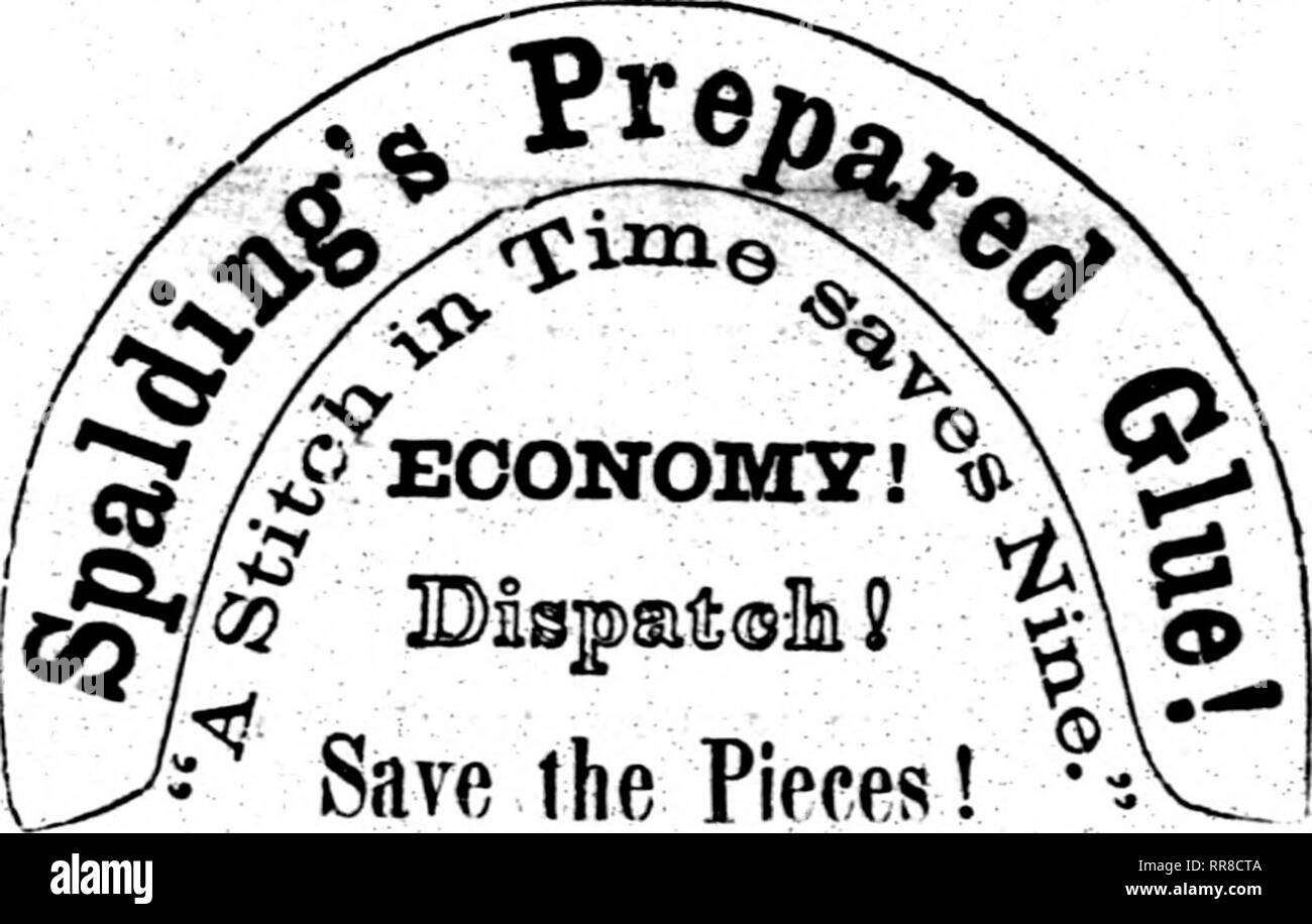 . Die Illinois Farmer [microform]: Eine monatliche landwirtschaftliche Zeitschrift, die den Interessen der Bauern, Gärtner, obstbauer und Lager Raiser gewidmet ... Landwirtschaft Landwirtschaft - - Illinois. Die ILLINOIS E^ HMEH. äh Couitensed Katalog ol FRDIT UND ORMBEMAL Bäume, Pflanzen, &Amp; C., KULTIVIERTE AXT) FÜR VERKAUF AN DEN EVERGREENS, Lamoille, Bureau Co., Illinois, BT SAMUEL EDWARDS. Muster obstgärten waren, begann im Jahre 1844, und die mehrere tausend Bäume. Rund 150 Sorten haben Früchte getragen. Echtheit der Sorten so gekennzeichnet, garantiert. Erdbeeren, Johannisbeeren, Gooseben-ies und Rhabarber, sind Cul-tivate Stockfoto