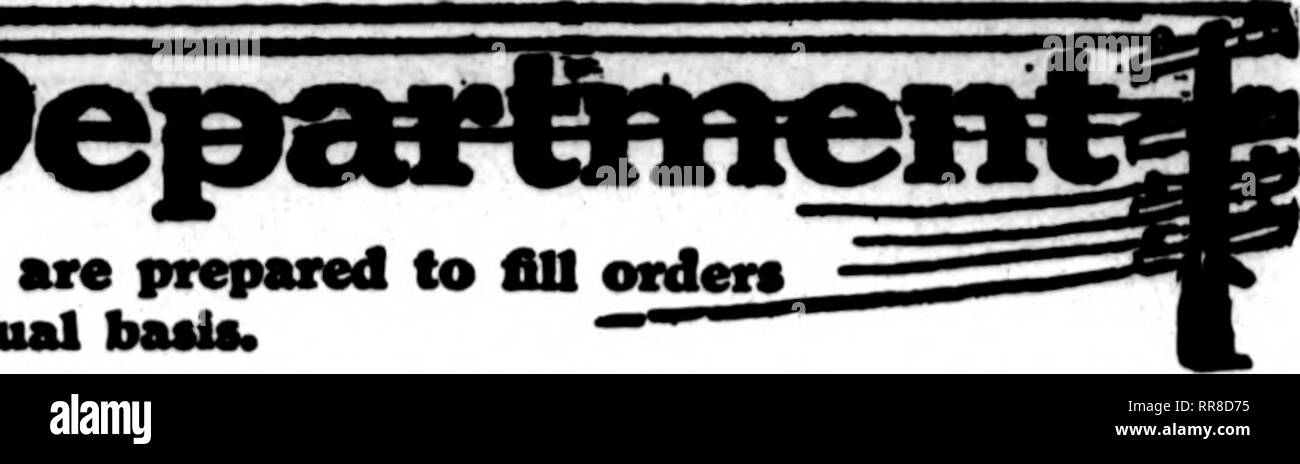 . Floristen Review [microform]. Blumenzucht. Die Rorists^ Review Juli 13, 1922. Die llortoU deren Karten auf der patfes dieser Kopf Durchführung erscheinen, sind bereit, Bestellungen^ aus anderen Floristen für die lokale Zustellung auf der üblichen Basis zu füllen. SAN FRANCISCO F.C. JAEGER &Amp; Sohn. Florid UND UMGEBUNG - MASTER FLORISTEN - MITGLIEDER S. T. D. 141 Powell Street, SAN FRANCISCO, CALIF. s F eine rrancisco Oakland. BERKELEY und Umgebung CHAS. C. NAVLET CO. drei Stores: 423 und 427 Market Street, SAN FRANCISCO, CALIF. 917 Washington Street Oakland. CALIF. 20 und 22 Osten San Fernando Straße ... . SAN JOSE, Calif. San Fran Stockfoto