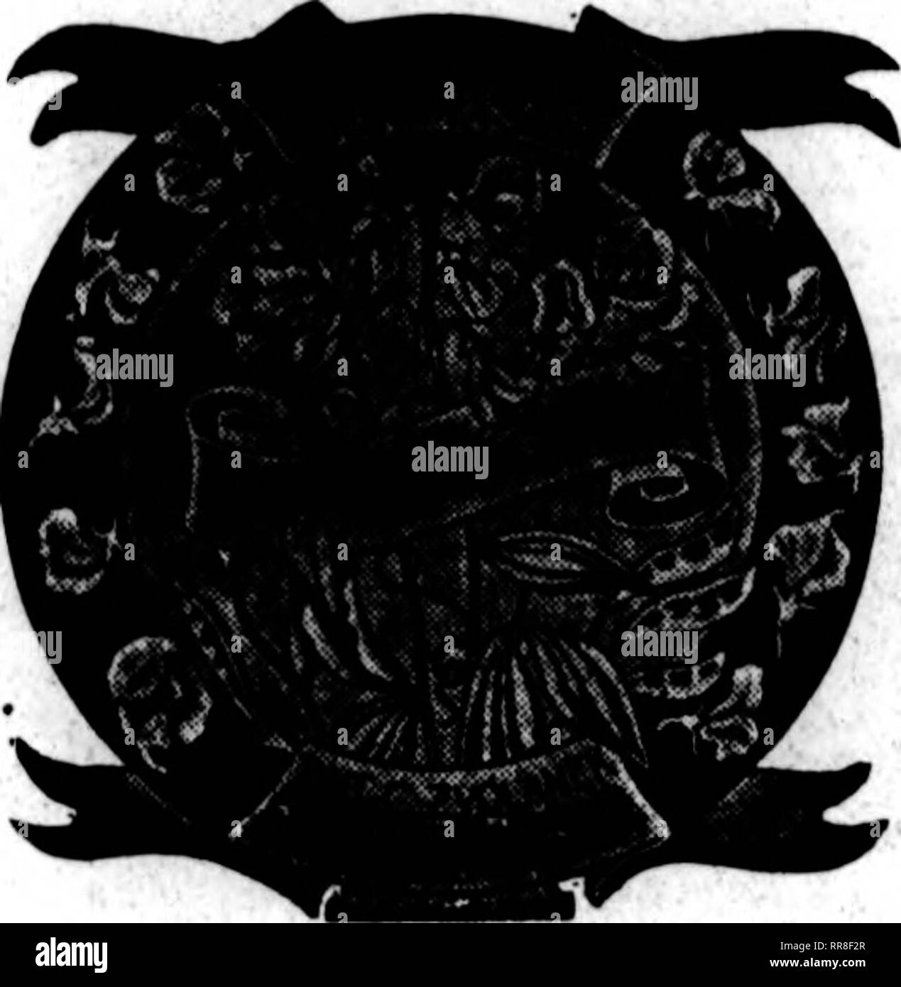 . Floristen Review [microform]. Blumenzucht. 108 Dem Floristen^ Review Juli", 1922 uot werden es lange, wenn man die Rate, mit der Sie angemeldet sind. Julius Eppstein beschäftigt mit Körben, von denen einige als Tribute zu besuchen Polizeichefs geschickt wurden, teilnehmen - ihre internationale Übereinkommen hier ing. Das Terminal Blumenhändler, aufwendige Tribute für die Beerdigung von Kapitän Lonroth, Ende beliebte Meister der 8. S. Sonoma. Tlie Oceanic Steamship Co. geschickt, seine Flagge, in Rot und Weiß carnatioHB gemacht, Rosen, Ringelblumen, etc., und anderen großen floralen anbieten, mit dem Stern des Unternehmens in Stockfoto