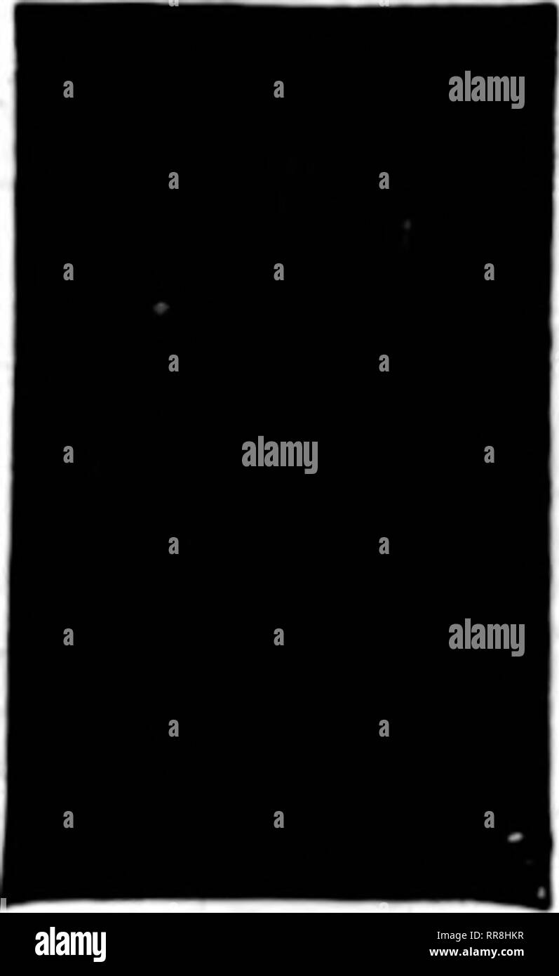 . Floristen Review [microform]. Blumenzucht. WB. ScUatter&AMP;SM 12 PyBch "St. BLAKE'S ATTXB LKVKH CLIP für KoseR, CarnationH usw.; fas-zehn Stangen, Drähte usw. Sie nie gleiten, und ar? Eine große Zeit- und sarlng niont y. Preis 1,75 $ pro 1000 5 "c pro Woche für jeweils ein Jahr bestellen. Wilson's 0. K. in der Anlage Spray tötet Pflanzen Insekten, Maßstab und Mehltau Andrew Wilson, Inc. Catskill, N.Y., Springfield, New Jersey. Juni 2. 1922. Herren: - Bitte Schiff durch den Güterverkehr 12 1-Gallonen. Wilson's 0. K. in der Pflanze sprühen. Wir mögen sie sehr und wlierever verkauft habe ich es meinen Kunden finden es sehr effektiv für alle Arten von Add-Ins Stockfoto