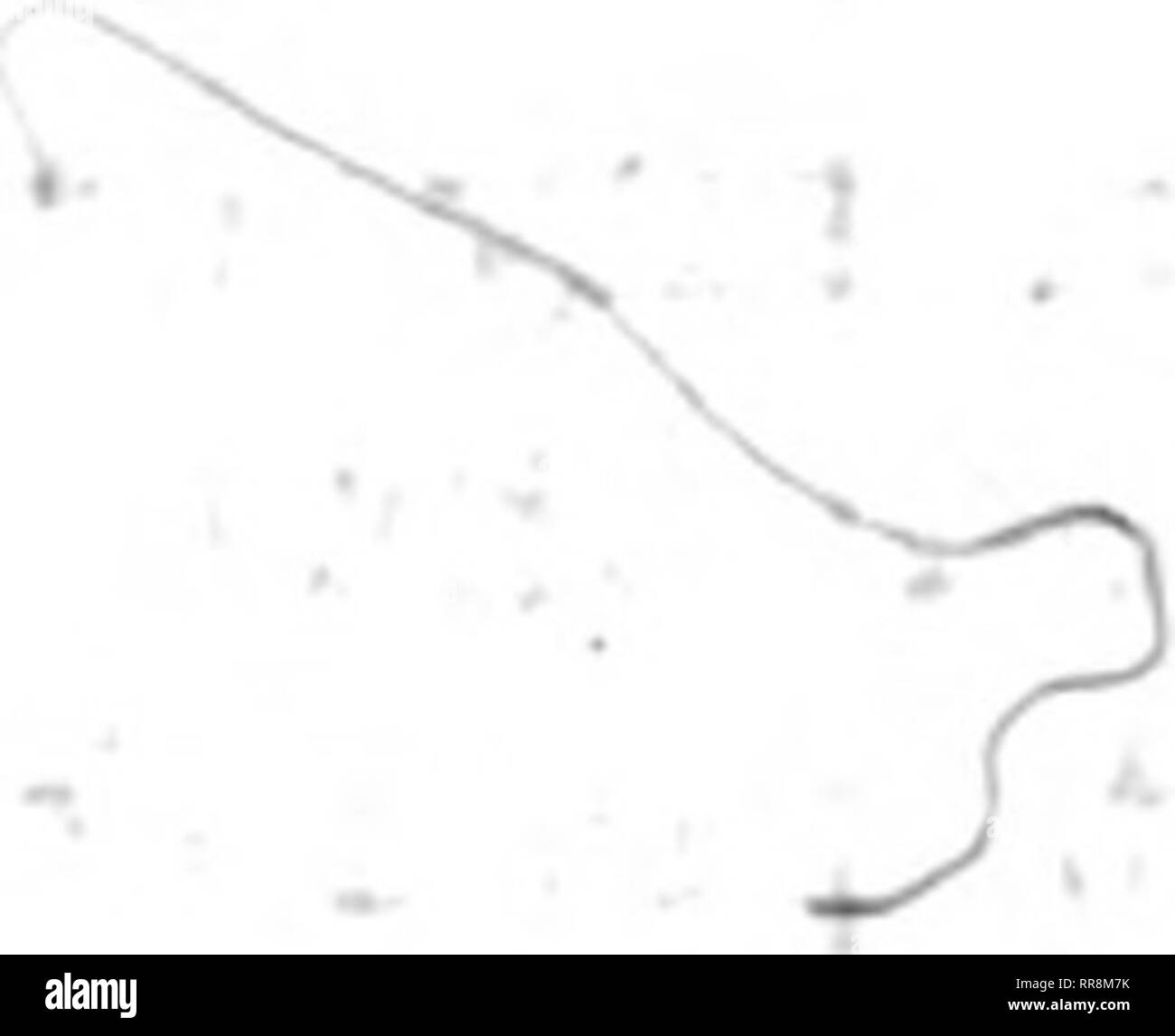 . Outlook Illinois Landwirte Brief [microform]. Landwirtschaft - - Illinois; Landwirtschaft - - Wirtschaftliche Aspekte von Illinois. ; R^:^:: Ich* Ich..,.:' x. ; V -'?^T V r.". * • '??';. Bitte beachten Sie, dass diese Bilder sind von der gescannten Seite Bilder, die digital für die Lesbarkeit verbessert haben mögen - Färbung und Aussehen dieser Abbildungen können nicht perfekt dem Original ähneln. extrahiert. Universität von Illinois in Urbana-Champaign. Cooperative Extension Service in der Landwirtschaft und Hauswirtschaft; Universität von Illinois (Urbana-Champaign Campus). Abt. für Agrarökonomie, Universität von I Stockfoto