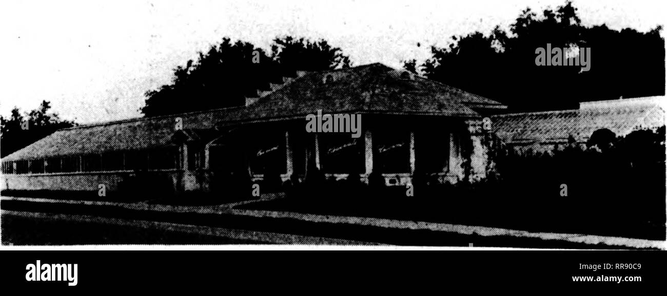 . Floristen Review [microform]. Blumenzucht. .; R^r^^,.?•?; V">^'. r.^.^.^ irr. ?" "Spitze am oben genannten Datum, wird in der St. Louis News gefunden werden - schreiben in dieser Ausgabe. Prüfung des Ausschusses. Die Ausschüsse durch die Chrysantheme Gesellschaft von Amerika neue Sorten von chrysanthe zu prüfen - nuims Folgende vorgelegt haben: In Cincinnati, 0., 24. Oktober, Jrene, wliitt, IKimpon, Elmer 1 vorgelegt werden). Smith &Amp; Co., Adrian. Mich., wie folgt bewertet: Farbe, 30: Form, 18; Stengel und Blätter, 17; die Fülle, 17; insgesamt 88. Bei Chicago, 111., Octol) Er21, Irene, weiß, pompon, Senden Stockfoto