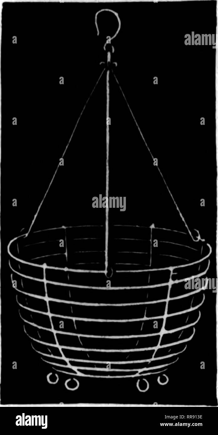 . Floristen Review [microform]. Blumenzucht. 104 Dem Floristen^ Review Mai 25, 1" 22. Ampeln, die Beste od &Amp; e-Markt starke, dauerhafte, gut gemacht Grün Blatt Moos pro Ballen, $ 1,35 10 Ballen, $ 12,5 3 SiM-PcrdMi 8-Zoll $ 2,00 10-Zoll. 12-Zoll. 14-Zoll. 16-Zoll. 18 Zoll. 2,25 2,50 3,00 4,25 6,00 BO eines sisc an lOO rate PwlOO $ 15,00 18,00 20,00 25,00 35,00 45,00 Die Wm. Murphy Co., Cincinnati. V Äpfel und Charles X, Phileinoii, Lud - wis Hpaeth, I'riiu-ess Alexandra, Mme. Casiniir Perier, (Jongo, Volcan und Mme. Bassompieire als feine Flieder. Staub sprayinjr für Ap 5) les und vejjetables verursacht Stockfoto
