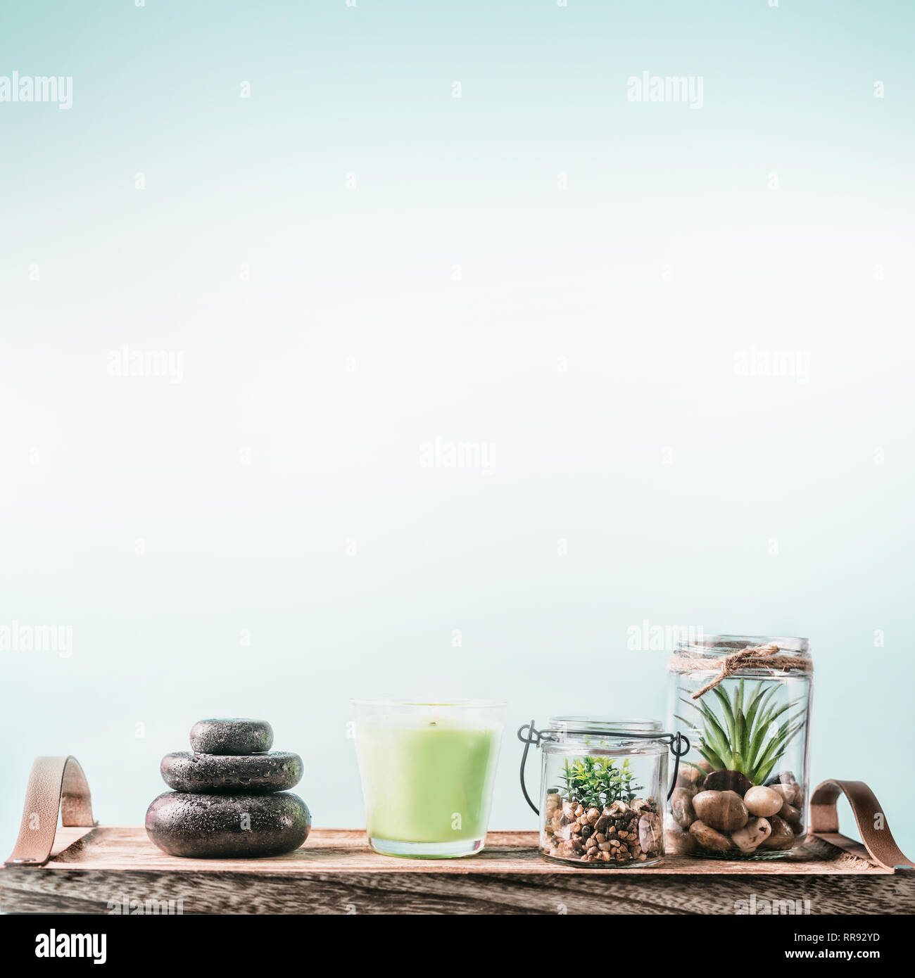SPA Einstellung Hintergrund mit grünen Kerzen, Massage mit heißen Steinen und sukkulenten Pflanzen auf Fach bei Pastell-blaue Hintergrund. Eine gesunde Lebensweise, Wellness und Stockfoto