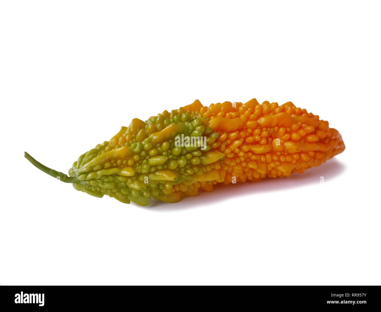 Die bittere Melone, auch bittere Gurken, Balsam, Balsam Apfel Birne oder bitteren Kürbis, auf einem weißen Hintergrund. Stockfoto
