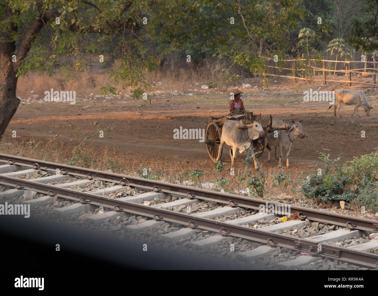 Frau reitet Ihr Warenkorb entlang einer Bahn, Myanmar Stockfoto