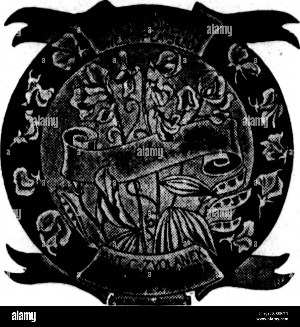 . Floristen Review [microform]. Blumenzucht. Orchid-Flowering ZVOLANEK Winter's Sweet Pea Saatgut 1 Zvolanek's Christmas Pink Orchid, bicolor SO Zvolanek's Pink, intensiver als Zvolanek's Rose 2 Zvolanek's Rose, berühmte Shell Pink 2 Miss Louise Gude, Shell Pink Frau Skach, rosa Frau Jos. Manda, dunkle piak Zvolanek's White, der größte Weiße - gesäten weißen 2 Bridal Veil, bekannte Weiß-seeded Frau M. SpanoliD, schwarz - gesäten weißen Watc hung Orchidee, schwarz gesät, während Ed. Zvolanek, größte Lavendel 2 Frau Chas. Zvolanek, berühmte Lavendel Zvolanek Blue's, am besten Blau Hellblau Zvolanek Zvolanek's Ma Stockfoto