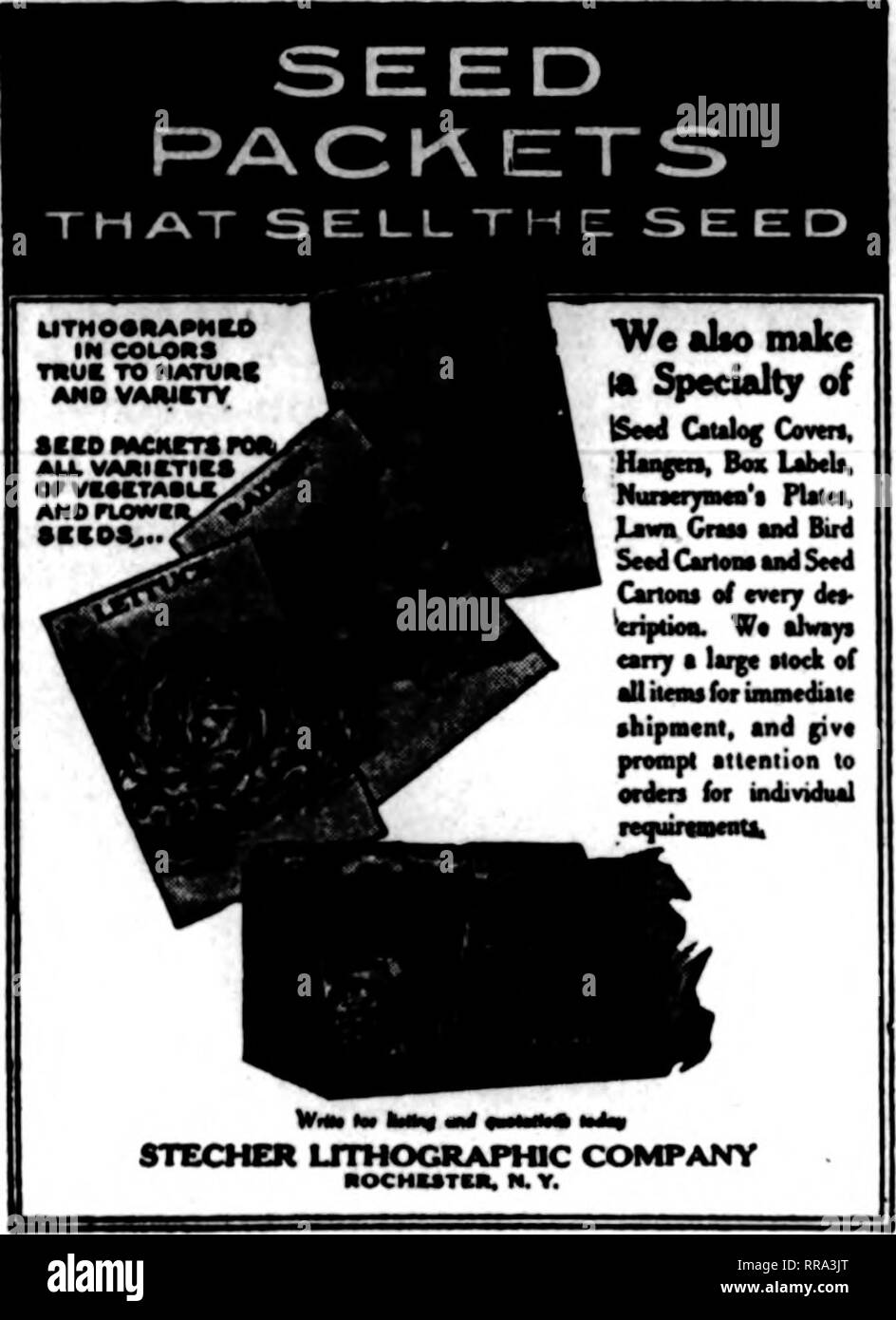 . Floristen Review [microform]. Blumenzucht. fUmnMuiik 7, 1928 Die Fkjrists 'Review 109 i^^ die ALBERT DICKINSON CONPANY 35th St. und Michigan Ave., Chicago, Ill. Zentrale für Rasen AUF DEN HANDEL ich GJiri^ LEONARD SEED CO. ijcCClS GROSSHANDEL ZÜCHTER 226^0 WEST KINZIE STREET SAATGUT, CHICAGO Zwiebel Legt die Burpee Folgendes Samen wachsen W. Atlee Burpee Folgendes Coi * Saatgutvermehrer Philedelphie der Everett B. Clark Seed Co., MUford, Anschl. Zweig Hochkonjunktur in der WUconcln, Colorado, Montana, Ualio und WaaUngton. Bohnen & gt; Erbsen * Sweet Com, Zwiebeln, Rüben, Rüben, Tomaten, Spinachc Großhandel Saatgutvermehrer Pfeffer, Ettplant Tomate. Okra, EIN Stockfoto