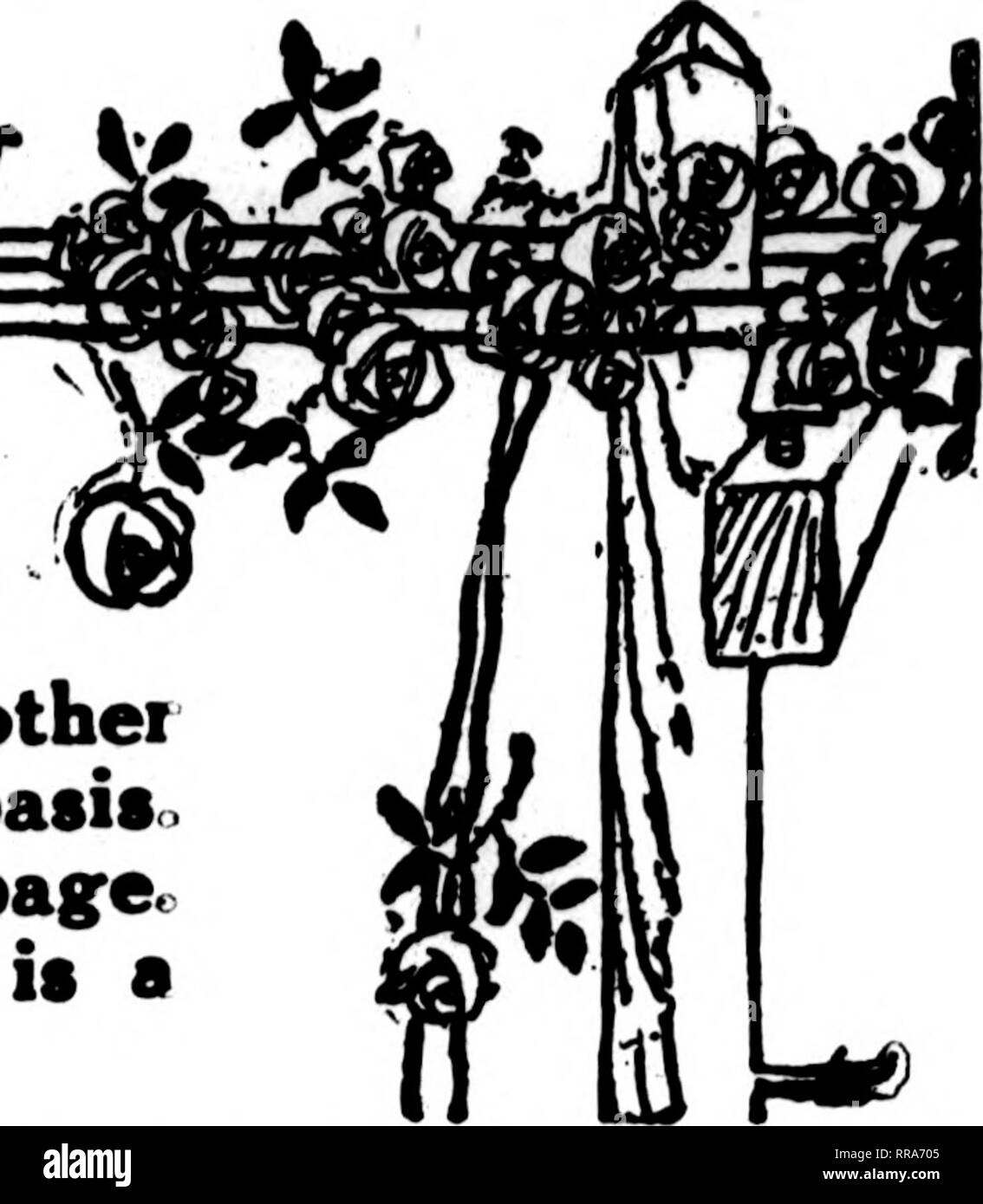 . Floristen Review [microform]. Blumenzucht. ehgraph Lieferung ai ^ ' ^ ¥ wir Floristen, deren Karten in • angezeigt? • Das rosa Teil der Floristen Überprüfung bereit sind, Aufträge von anderen Floristen zu füllen, für lokale Lieferung, auf die üblichen basiso Siehe Index der Städte auf der folgenden Seite. Wenn Ihre Stadt nicht vertreten ist, gibt es eine besonders gute Gelegenheit für Sie.. "Ich lebe für die, die mich lieben, für diejenigen, die mich kennen, für den Himmel, die Lächeln über mir, und wartet mein Kommen, auch; für die Ursache angezeigt, die Unterstützung fehlt, für das Unrecht, dass Widerstand benötigen. Für die Zukunft in der DISTAN Stockfoto