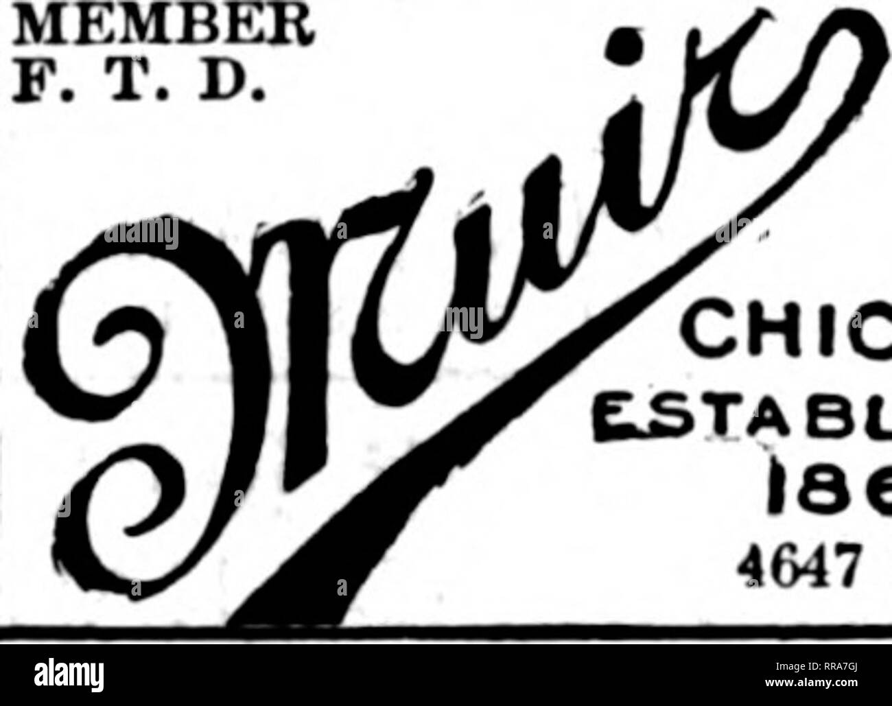 . Floristen Review [microform]. Blumenzucht. 1906 MITGLIED F. T. D. Store und Wintergärten, 7043-45 -47-49 Stony Island Ave. L> ng Abstand Telefon, Fairfax 2801 Mitglieder A.F.T.D. t^E.MA**°' CHICAGO ATLANTIC FLORAL CO.362 W. Madison St. prompte und sorgfältige Aufmerksamkeit auf alle fernschreiber Bestellungen. 1 Blumen ^-^^ Tel. Für alle^^" LrJUl''^^^^^^^ Gelegenheiten FJoV/1121 3912 ÄH 9' nördlicher Clark St.. CHICAGO UND ALLEN Vororten von Chicago THOM, Blumengeschäft 1639 MILWAUKEE AVE. Für November haben wir eine Auswahl von Chrysantheme Topfpflanzen, $ 2,00. Garantieren Sie Ihren Kunden. Stockfoto