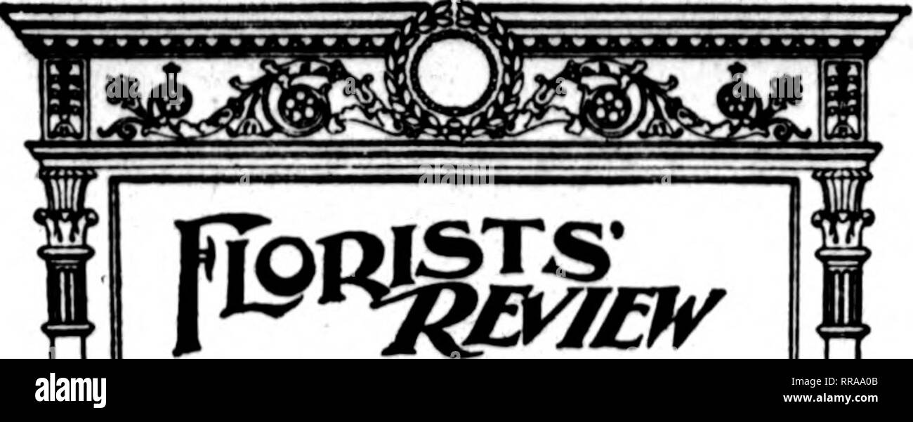 . Floristen Review [microform]. Blumenzucht. jw.w~TvTT ''T^^ TlT''^"^' tW 32 Die Floristen^ Review Aooum 8. 1922. EfrtabUsbed 1897, von O. L. (ii-Hiit. Ich "libllHhoil jeden Tliui - sduy Vom FhORisiV Pri! Ich. isuiN&lt; ich Co., SlU (^ axton ButUlliiK, 60 (&lt; South Dearborn St., Chleogo. Tel., WabiiNh"!&lt;.". UeplHlen^l eable iiiklreHS, FUirvlew, C'lileaifo. Uns KriteriHi secoinl ela.ss egal Dez.;), lt" 7, ntthe | Nebel - officeatChl - ciuto. 111., gemäß der Beitrittsakte am 3. März, 1 S 7". I. SiibHcrlptioii Preis, $ 2,00 u Jahr. I; aiiada, * 3.0O: KuroiK'. $ i, 00. Ein &Lt;lvertlHinK Preise quot" "&Lt;l auf Anfrage Stockfoto