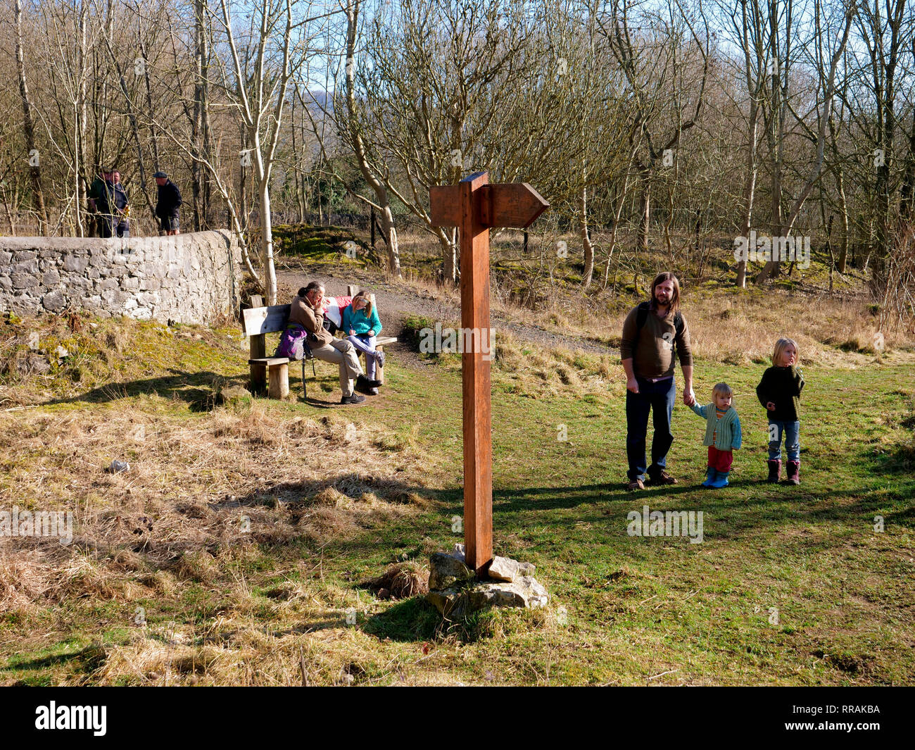 Wirksworth, Derbyshire, UK. 25 Feb, 2019. Lokalen Aussichtspunkt unter Androhung von Sinti und Roma Traveller Camp nach Ratsmitglieder von Derbyshire Dales District Council für die Einwohner von wirksworth Für haben, die Entscheidung zu treffen sich entschuldigte, zu kommentieren, dass sie 'Wäre es nicht auf jedermann' wünschen, Councillor Mike Ratcliffe nannte die Entscheidung einen "parteipolitische Manöver", Stoney Holz, Wirksworth, Derbyshire Dales. Land wurde als 6 Monat vorübergehend geduldet Site zugeordnet. DDDC Plan unten zu schneiden alle Bäume auf der Seite Zimmer für Reisende camp zu machen. Quelle: Doug Blane/Alamy leben Nachrichten Stockfoto