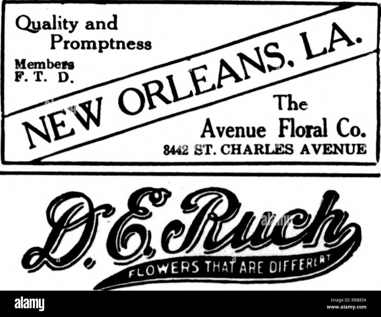 . Floristen Review [microform]. Blumenzucht. Mitglied F. T. D. NEW ORLEANS Wir bieten Lo 2600 ST. CHARLES AVENUE. LOUISIANA - TEXAS - ARKANSAS SHREVEPORT, LA. NEW ORLEANS, LA. CHAS. EBLE ÄLTESTE FLORIST SÜDEN 121 Baronne Street Mitglied Floristen "Telegraph Lieferung. Bitte beachten Sie, dass diese Bilder sind von der gescannten Seite Bilder, die digital für die Lesbarkeit verbessert haben mögen - Färbung und Aussehen dieser Abbildungen können nicht perfekt dem Original ähneln. extrahiert. Chicago: Floristen Pub. Co Stockfoto