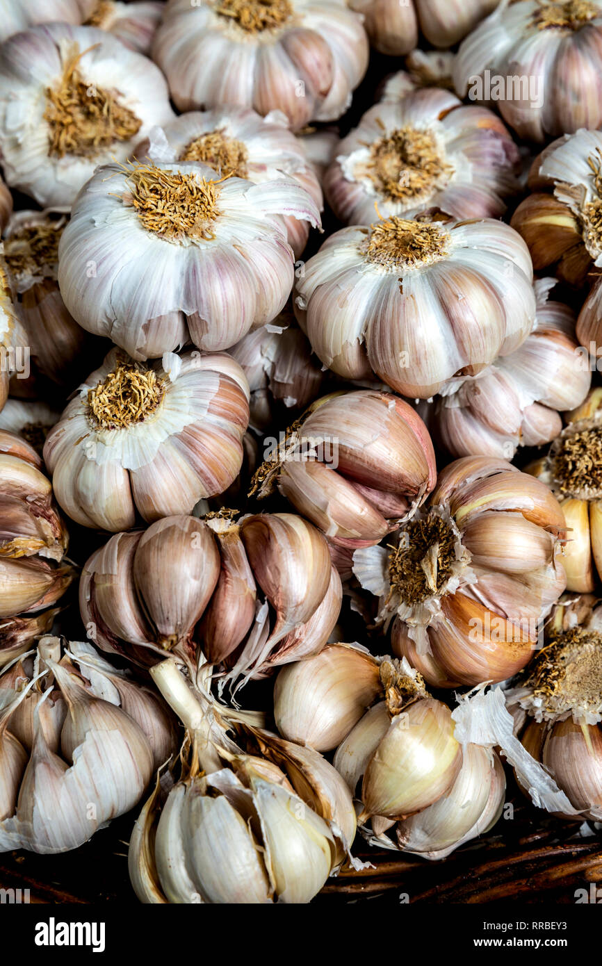 Knoblauch Zwiebeln zusammen in einem Korb gestapelt. Stockfoto