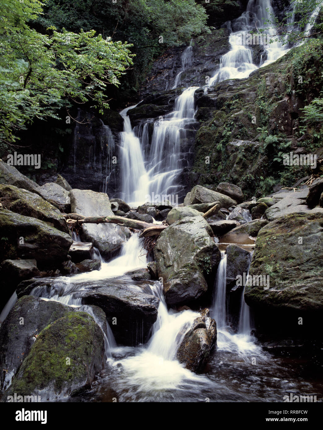 Irland. County Kerry. In der Nähe von Killarney. Torc Wasserfall. Stockfoto