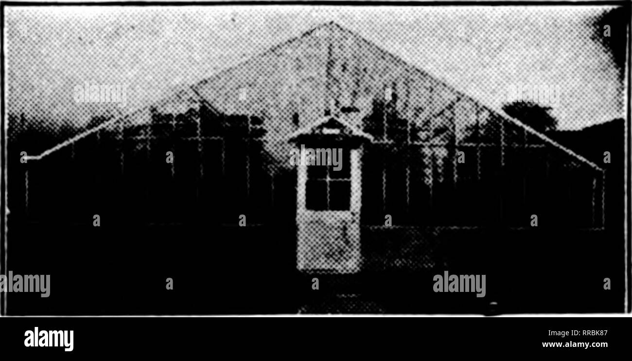 . Floristen Review [microform]. Blumenzucht. Jetzt - ein Power Rasenmäher für Mittelgroße Rasenflächen^' für yean Ideal Power X^awn Mowera haben für die Pflege großer Rasenflächen verwendet worden. Die Tausenden der Ideale Mäher im Einsatz haben definitiv ihre Arbeitskraft savingr gezeigt hat, Geld zu verdienen - Qualifikationen. Es gibt aber Tausende von Rasen kaum largr" enoug-h Der Kauf eines große Energienmäher zu rechtfertigen, aber mit so viel Gras zu schneiden, dass die richtige Pflege wird zu einem großen Problem - und ein teures Problem. Es war für diese große Anzahl von mittelgroße Rasenflächen, die den Idealen Junior Power Mäher entwickelt wurde. Es ist Mo Stockfoto