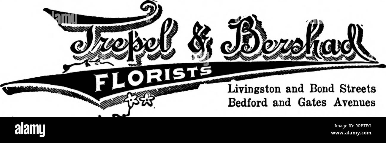 . Floristen Review [microform]. Blumenzucht. Wir FÜHREN DEN HÖCHSTEN GRAD VON SCHNITTBLUMEN SCHICKEN SIE UNS IHRE NEW YORK AUFTRÄGE NEBEN THEATER- UND STADTTEILEN gegründet 1875 C.F. BÄCKER &Amp; SOHN UTICA, N.Y., Decken wir Central New York, N.Y., UTICA Utica Floral co Mitglieder F. T. D. [größte und am Modem floral- Patienten in der zentralen neuen ITork. Senden Sie uns Ihre Aufträge für Utica und Umgebung. ROCHESTER, N. Y Wir alle Jamestown, N.Y. LAKEVIEW ROSENGÄRTEN 1.600.000 ft. von Glas Uayville, N. T. Broeton erreichen. N.Y. iUndolph, N.Y. Bttnoi Punkt, N.Y., 1 INSTANT f>-SERVICE<S-zu-ICH KANN Stockfoto
