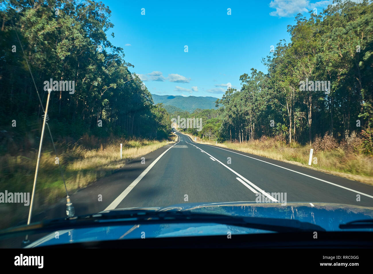 Ansicht von innen ein Auto entlang einer Straße Reisen mit Gummi Bäume auf beiden Seiten im australischen Outback auf einem hellen Tag mit kein anderer Datenverkehr Insight Stockfoto