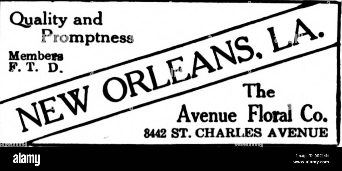 . Floristen Review [microform]. Blumenzucht. MKMBSR S. T. D. NEW ORLEANS MITGLIED DES F. T. D. Wir bieten für das '/Best Trade 2600 ST. CHARLES ein Schauplatz Qyality und Schnelligkeit. Mem Ben F. T. D. Tlie Avenue blumige Co.8442 ST. CHARLES AVENUE. Bitte beachten Sie, dass diese Bilder sind von der gescannten Seite Bilder, die digital für die Lesbarkeit verbessert haben mögen - Färbung und Aussehen dieser Abbildungen können nicht perfekt dem Original ähneln. extrahiert. Chicago: Floristen Pub. Co Stockfoto