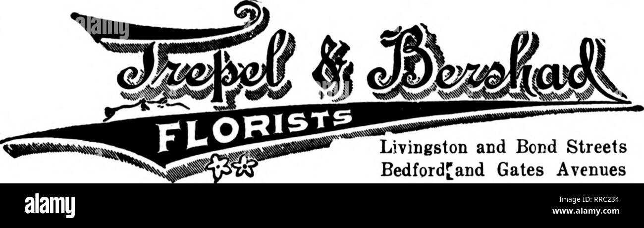 . Floristen Review [microform]. Blumenzucht. Wir FÜHREN DEN HÖCHSTEN GRAD VON SCHNITTBLUMEN SCHICKEN SIE UNS IHRE NEW YORK AUFTRÄGE NEBEN THEATER- UND STADTTEILEN gegründet 1875 C.F. BÄCKER &Amp; SOHN UTICA, N.Y., Decken wir Centi * al New York Mitglieder F. T. D. [UTICA, N.Y., Utica Floral Co. Größte und am Modem floral-ment im Zentrum von New York. Senden Sie uns Ihre Aufträge für Utica und Umgebung. ROCHESTER, N. Y erreichen wir aU'88 LJ^NST^'^r^^^x. JAMESTOWN, N.Y. LAKEVIEW ROSENGÄRTEN 1.600.000 ft. von Glas Uayville. N. T. ICH". I.1 Broeton. N.Y. f iUndolph, N.Y. f'oint, N.Y.) Bamiu Punkt, ICH Stockfoto