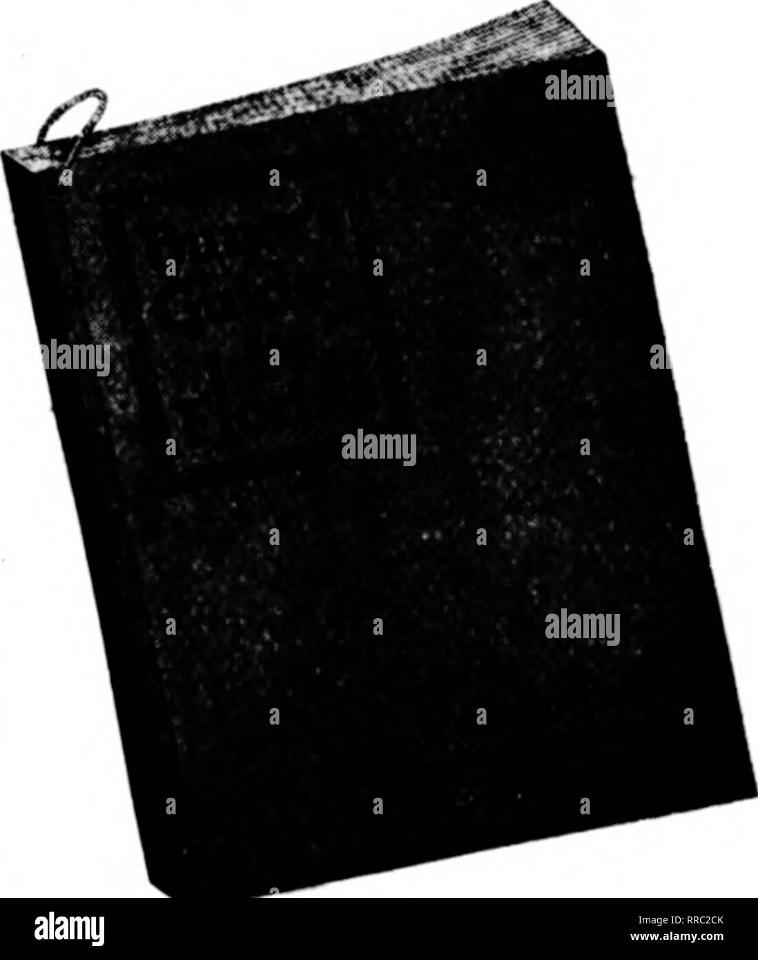 . Floristen Review [microform]. Blumenzucht. Größe pro lf! (l (i I', t i"] 1-in $ 12.00 $ 1.80 IJ^-in 12,00 1,80 l-M-in 11.25 1.50 2-in 11,25 1,50 2 M-in 12,75 1,95 2 j^-in 15.00 2.10 3-in 19,50 2,55 3 J/. - 24,00 3,00 in. Geranium 27,00 3,40 in 30,00 3,75 4 K&gt;-iii 40,50 4,50 5-in 54.00 18.00 Drei viertel Größe hi (Rate 2500 2000 1700 1200 900 550 400 360 272 200 Größe 5 Vj-i&gt; 7 S Standard 25'; ich Rabatt auf Tongefäßen, und SVc Zusätzliche Barmittel Größe. Mit der Bestellung. Zur Stärkung Ihres Unternehmens. Abonnieren Sie nationale Werbung. 'Y unserer Catnloenr intiilofl auf Re. Bitte beachten Sie, dass diese Bilder extra sind Stockfoto