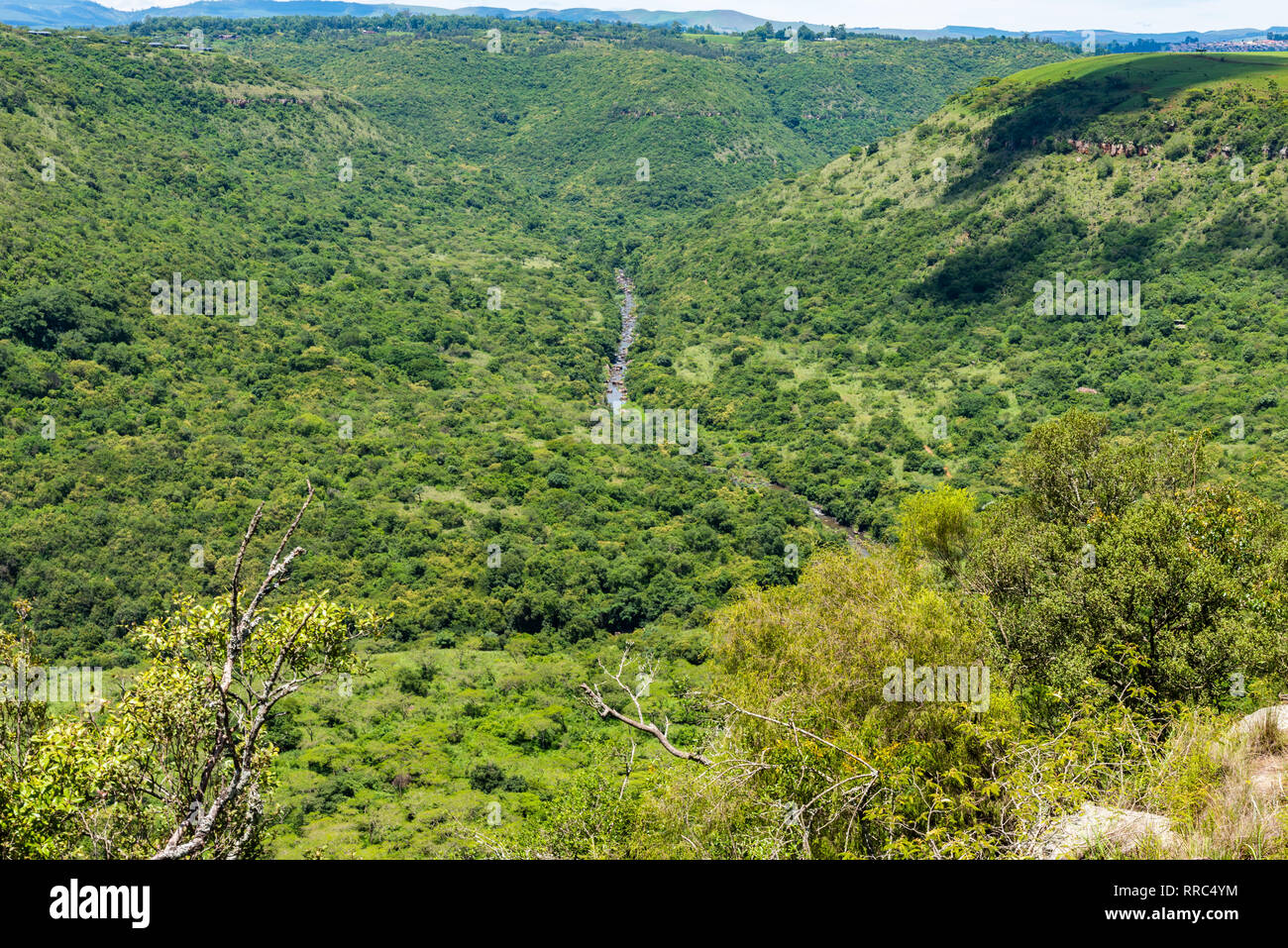 Die Umgeni River Valley, Kwazulu Natal, Südafrika. Stockfoto