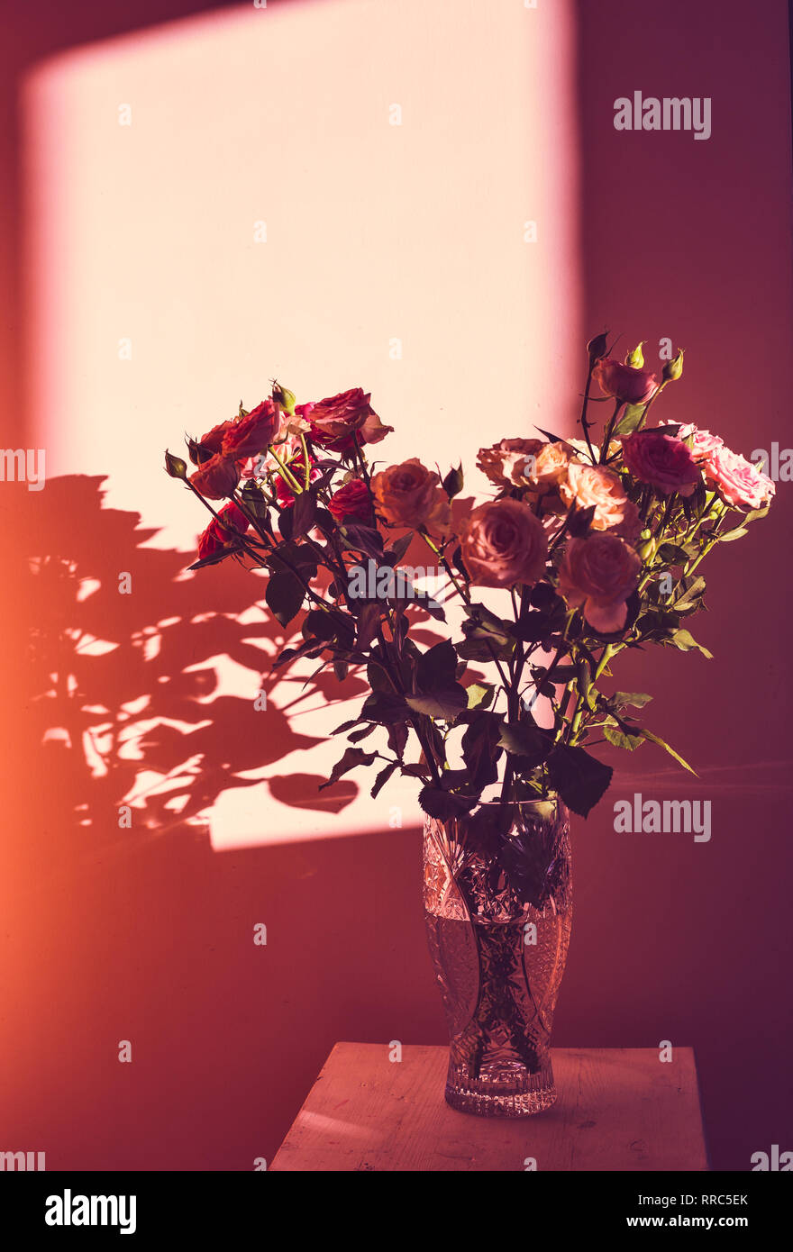 Ein Blumenstrauß aus Rosen in einer Glasvase stehen auf einer hölzernen Schemel vor dem Hintergrund der Wand in den Strahlen des Sonnenlichts Stockfoto