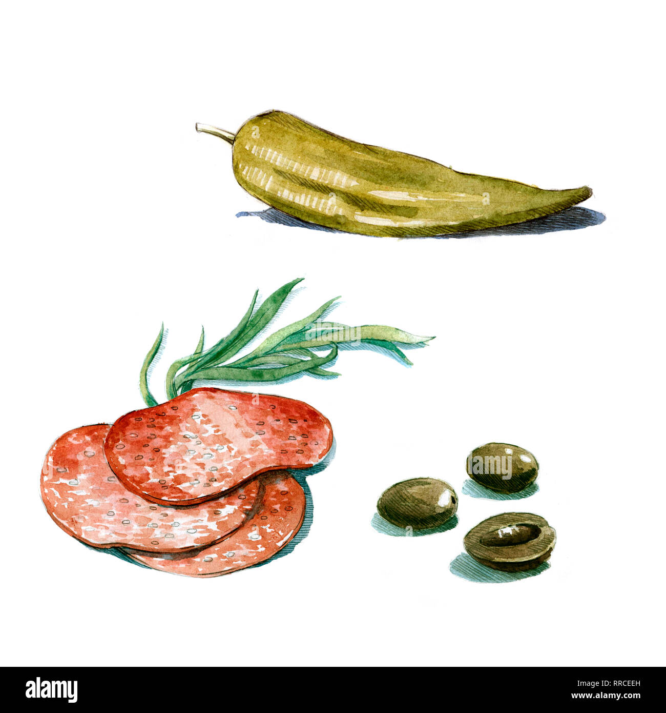 Salamischeiben Estragon Oliven und Paprika aquarell Bild auf weißem Hintergrund Stockfoto