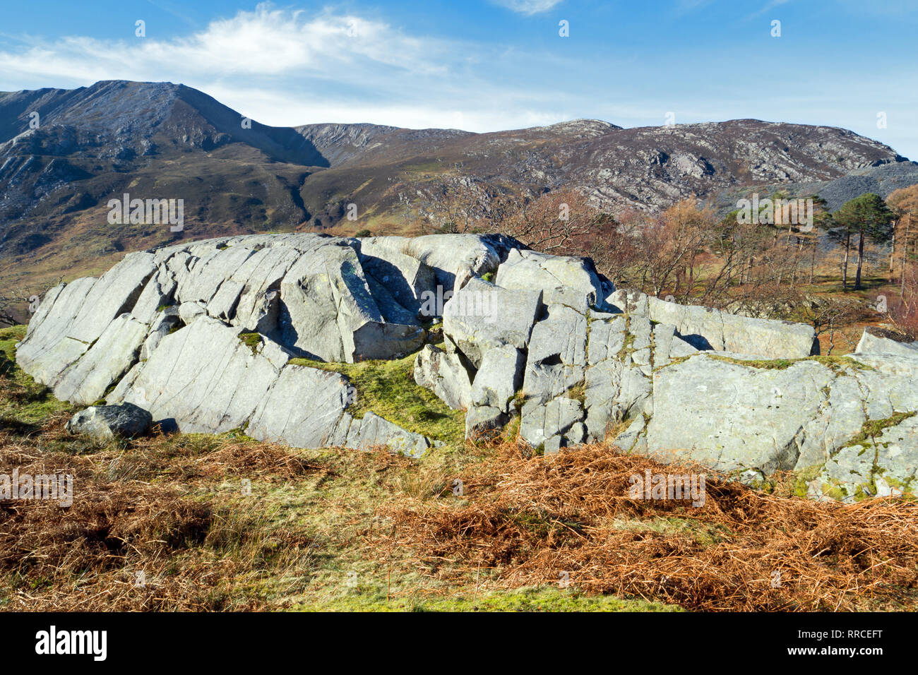 Rôche moutonnée ist eine Felsformation, die von der Erosion eines vorbeifahrenden Gletscher geschaffen. Diese Formation ist in der Nant Ffrancon Tal, Snowdonia. Stockfoto