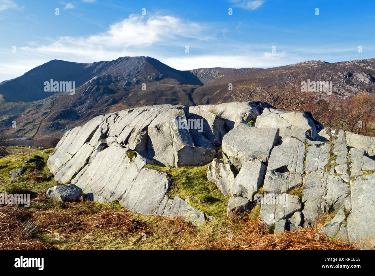 Rôche moutonnée ist eine Felsformation, die von der Erosion eines vorbeifahrenden Gletscher geschaffen. Diese Formation ist in der Nant Ffrancon Tal, Snowdonia. Stockfoto