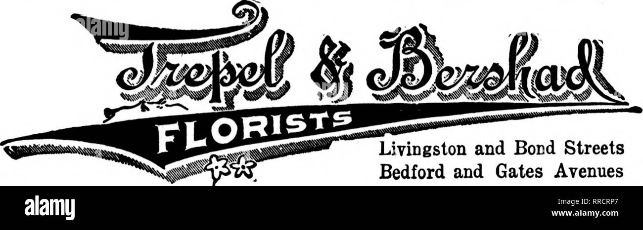 . Floristen Review [microform]. Blumenzucht. Wir führen den höchsten Grad OB' CLT BLUMEN SENDEN SIE UNS IHRE NEW YORK AUFTRÄGE NEBEN THEATER- UND STADTTEILEN gegründet 1875 C.F. BÄCKER &Amp; SOHN UTICA, N.Y., Decken wir Central New York, N.Y., UTICA Utica Floral co Mitglieder F. T. D. ICH Größten und Modernsten floral-ment im Zentrum von New York. Senden Sie uns Ihre Aufträge für Utica und Umgebung. ROCHESTER, N. Y'iflfM^ F. T. D, erreichen wir eine..! JAMESTOWN, N.Y. LAKEVIEW ROSENGÄRTEN 1.600.000 ft. von Glas Hayville, N. T., "Brocton RandolE Bemas] m N Y'INSTANT f iToint. N.Y.J"&quo Stockfoto