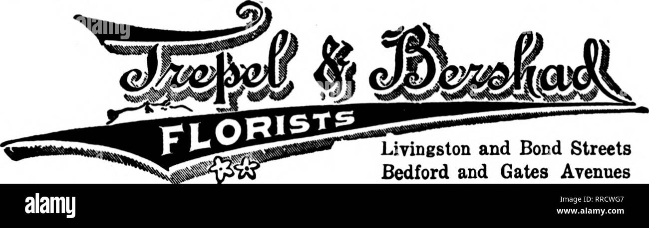 . Floristen Review [microform]. Blumenzucht. Wir CAREY die fflGHEST GRADE OB' CLT BLUMEN SENDEN SIE UNS IHRE NEW YORK AUFTRÄGE NEBEN THEATER- UND STADTTEILEN gegründet 1875 C.F. BÄCKER &Amp; SOHN UTICA, N.Y., Decken wir Central New York Mitglieder F. T. D. ICH UTICA, N.Y., Utica Floral Co. Größten und Modernsten floral- . ent im Zentrum von New York. Senden U3 ihre Bestellungen von Utica und Umgebung. ROCHESTER, N. Y 'ih^ Mf^ F.T.D. Erreichen wir Ali '88 E. WICHTIGSTEN 5 T v ^^^^^^^ llit. JAMESTOWN, N.Y. LAKEVIEW ROSENGÄRTEN 1.600.000 ft. von Glas Mayville. N. T. Broeton. N.Y, Retail Service> SF-RVirE J Stockfoto