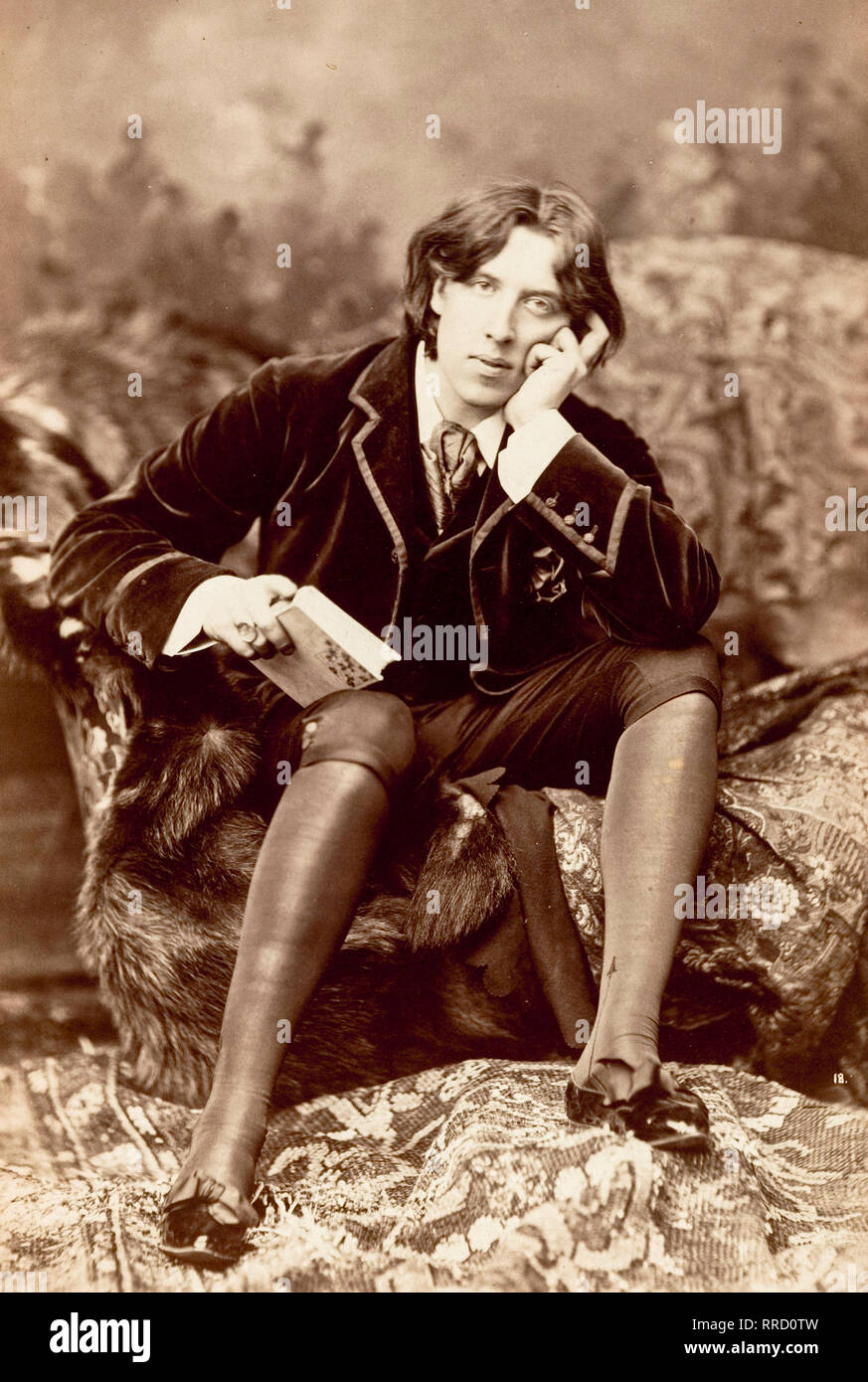 Oscar Wilde, portrait Fotografie, Napoléon Sarony, 1882 Stockfoto