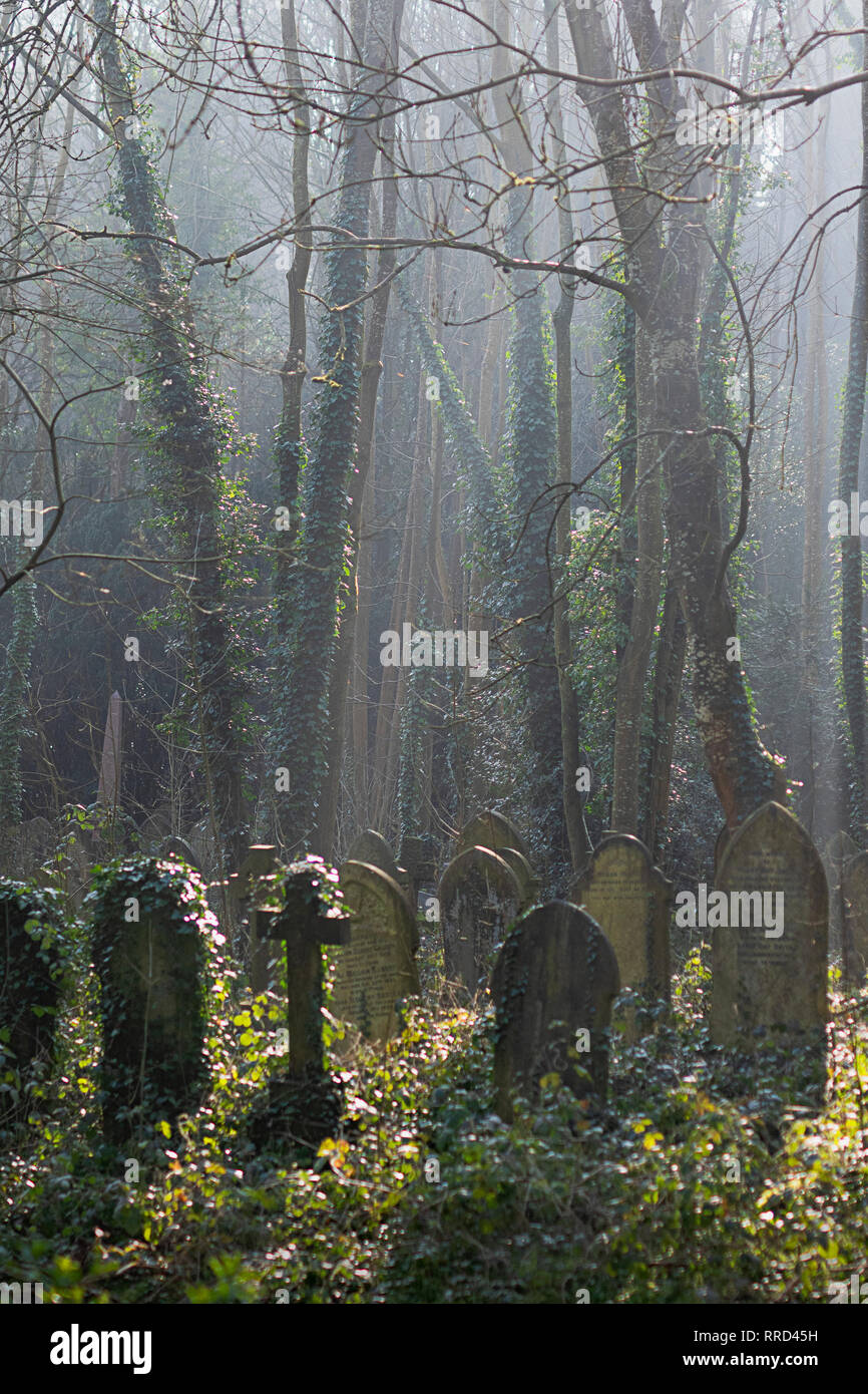 Grabsteine in Schönes Licht im Arnos Vale Friedhof in Bristol. Stockfoto