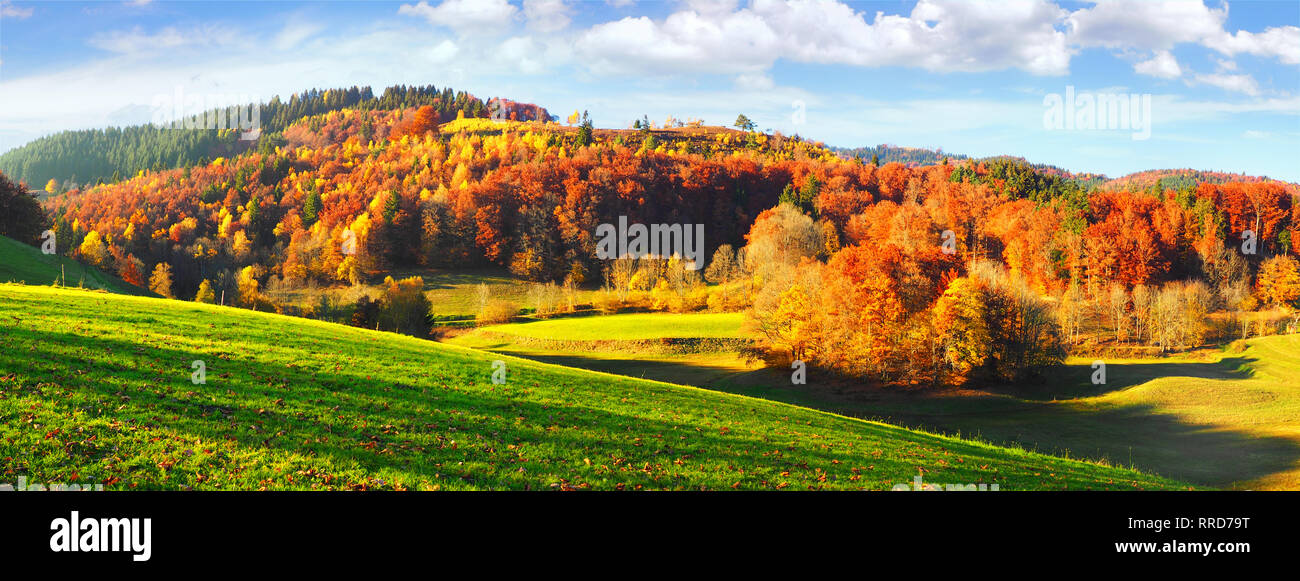 Schwarzwald im Herbst - Panorama Stockfoto