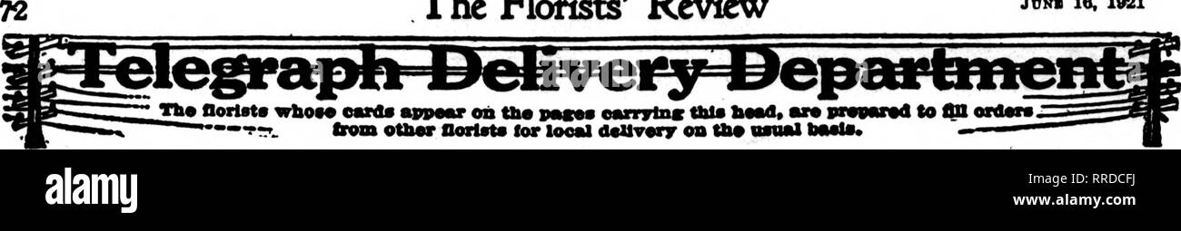 . Floristen Review [microform]. Blumenzucht. Die Floristen Review JUNB 16. 1921. Alle Aufträge sorgfältig ausgeführt. Auswahl ausschneiden und Pflanzen aus unseren eigenen greenhousea ENDE IHRE BESTELLUNG ANDER BAUMSCHULE CO 623 Qara Ave., ST. LOUIS, MO. Mitglieder der Floristen * Telegraph Lieferung Verband ST. LOUIS, MO. Kabel ihre Aufträge zu MULLANPHY FLORISTEN, Inc., N. W. ADR. 8. und St. Charles Straßen sowohl Long Distance Telefone die Floristen "Telegraph Lieferung Ass'n. ST. LOUIS IST "'* George Waldbart Floral Co. E £ Bclent Service - Die meisten zentral gelegene caref" n?EL'^Ted 516 North Grand Ave St. Louis, MO. GR Stockfoto