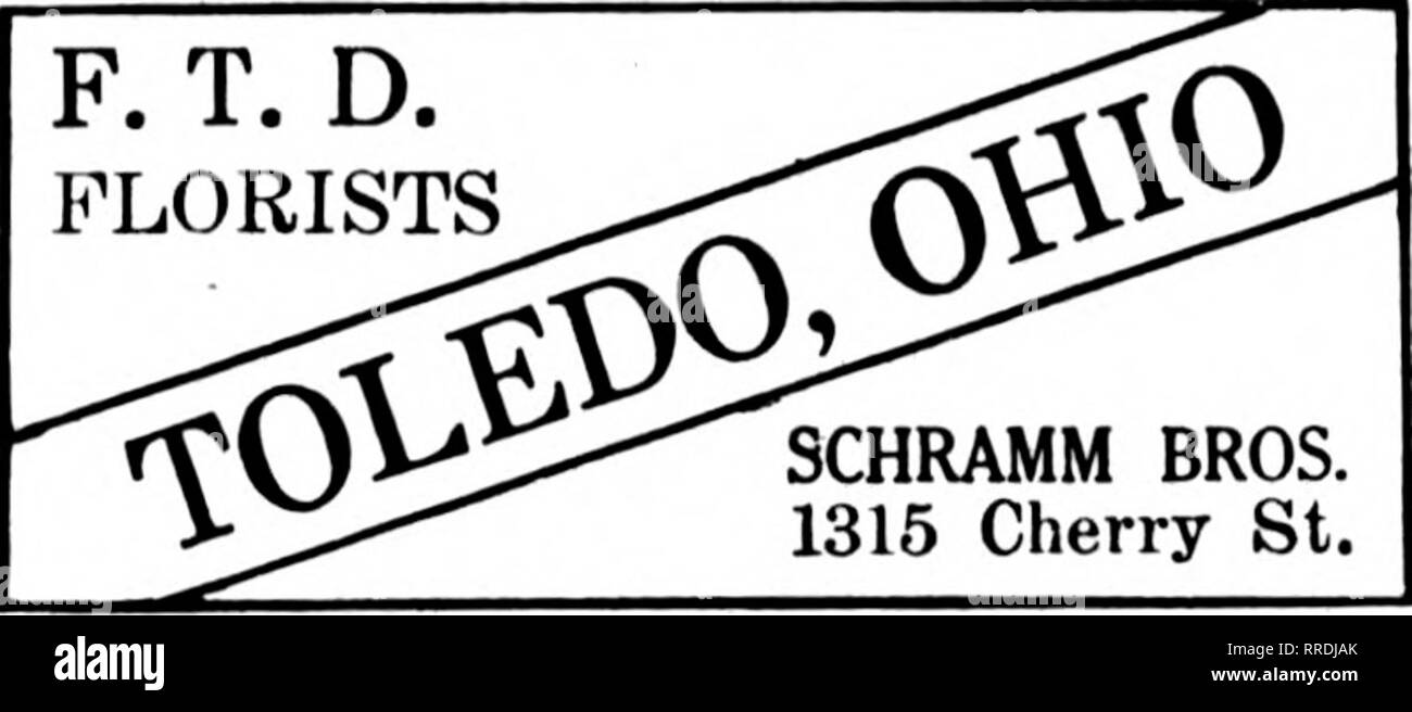 . Floristen Review [microform]. Blumenzucht. Mitglied F. T. D. YOUNGSTOWN, 0. HARRY C WALTHER 29 WEST WOOD STREET GUT AUSGESTATTET, UM MIT IHREN BESTELLUNGEN F. T. D. FLORISTEN. SCHRAMM BROS. 1315 Cherry St. TOLEDO, OHIO Lager, Verarbeitung und Service erster Klasse. Uns einige Aufträge senden und wir werden uns revanchieren. HELEN F. PATTEN 907 Madison Ave Mitglied F.T.D. SUDER* TheToledo, Ohio, Flori ^s A. A. SUDER. Inhaber 2941-3003 CHERRY STREET AKRON, Ohio die HEEPE CO. EXKLUSIVER BLUMENHÄNDLER AKRON, Ohio TT''^^ IIAMMKKSCHMIDT&amp; CLARK 12 W. die MARKET ST. TOLEDO, OHIO METZ & Amp; BATEMAN 221 Superior St. McnilxM-s F. T. D. Stockfoto